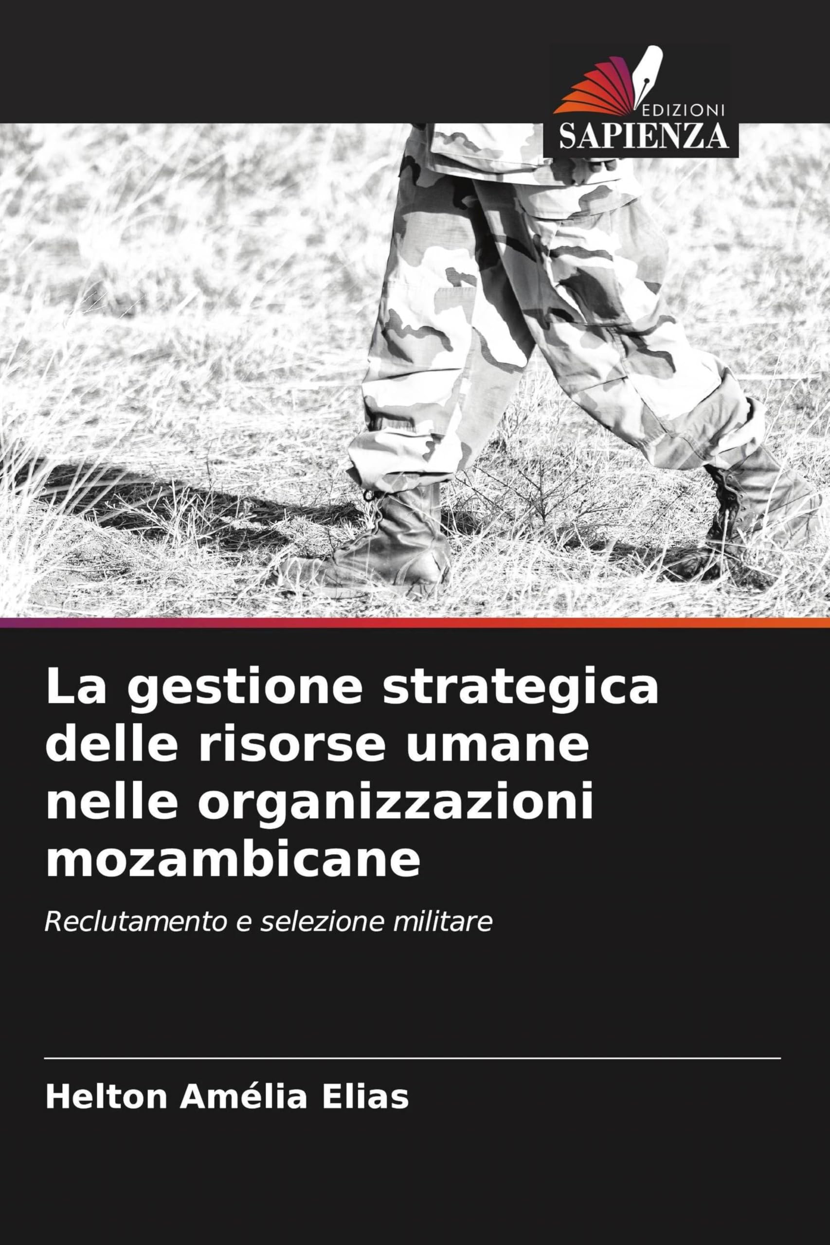 La gestione strategica delle risorse umane nelle organizzazioni mozambicane Law