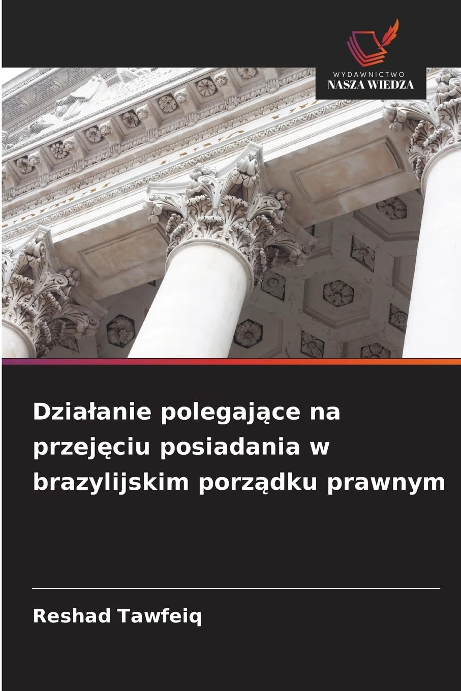 Dzia¿anie polegaj¿ce na przej¿ciu posiadania w brazylijskim porz¿dku prawnym Law