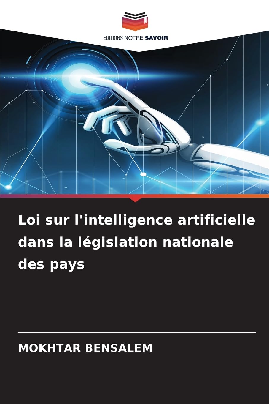 Loi sur l'intelligence artificielle dans la législation nationale des pays Law