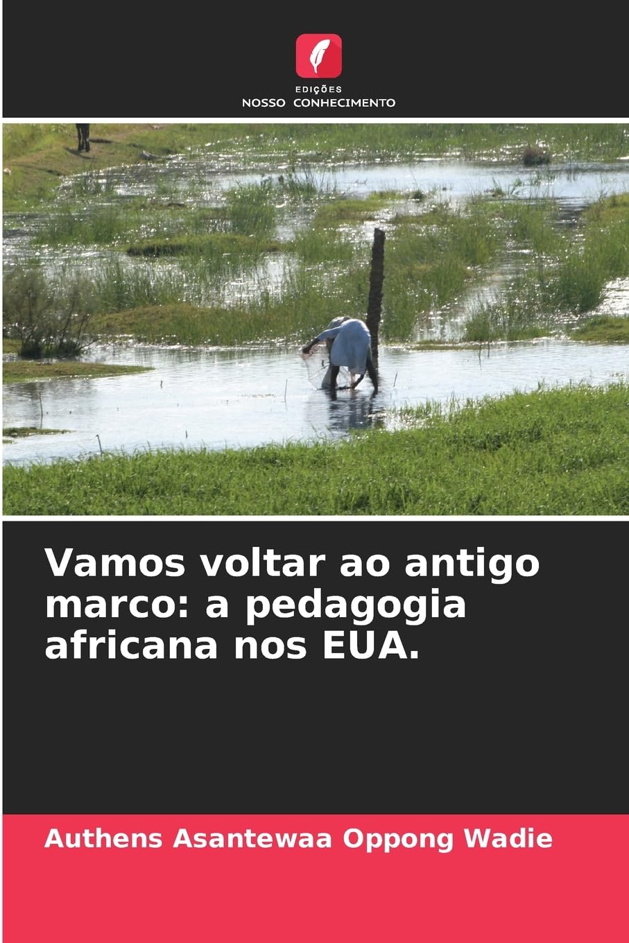 Vamos voltar ao antigo marco: a pedagogia africana nos EUA. Business, Finance & Career