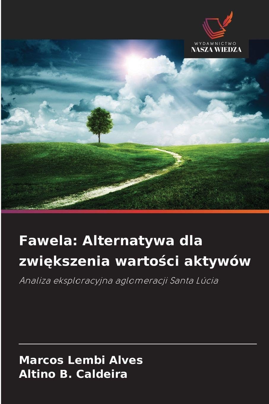 Fawela: Alternatywa dla zwi¿kszenia warto¿ci aktywów Geology & Geography