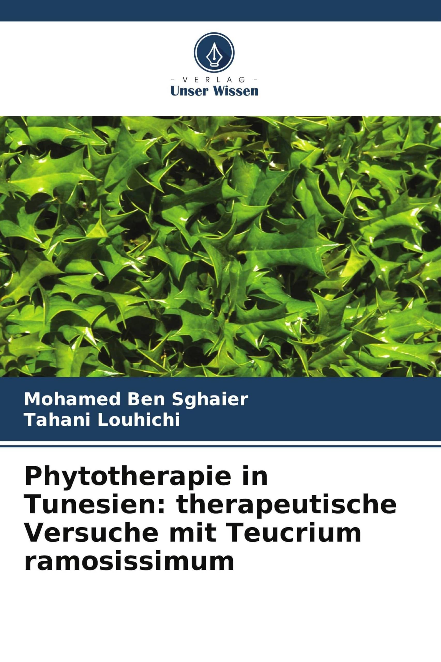 Phytotherapie in Tunesien: therapeutische Versuche mit Teucrium ramosissimum Medicine