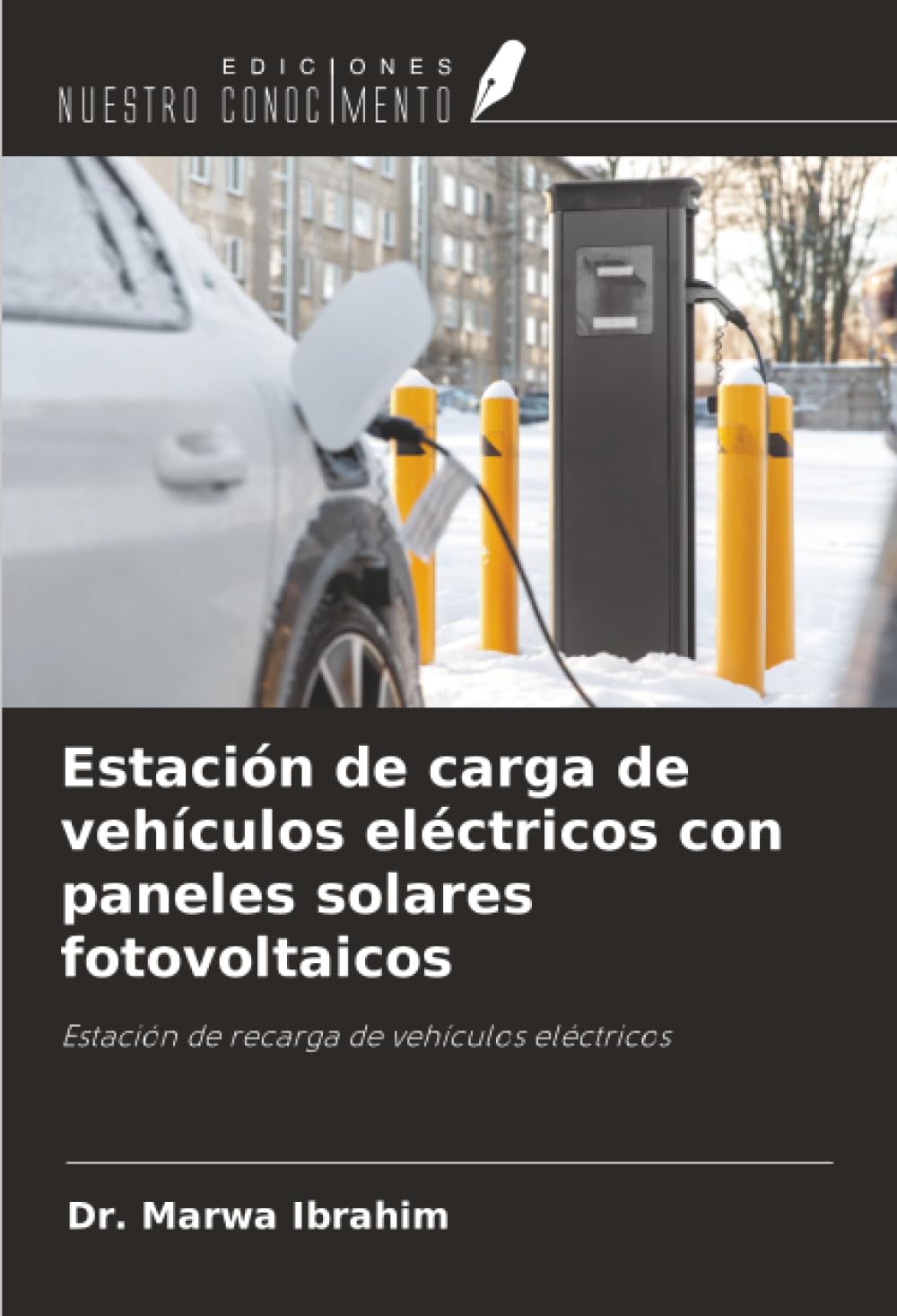 Estación de carga de vehículos eléctricos con paneles solares fotovoltaicos Business & Technology