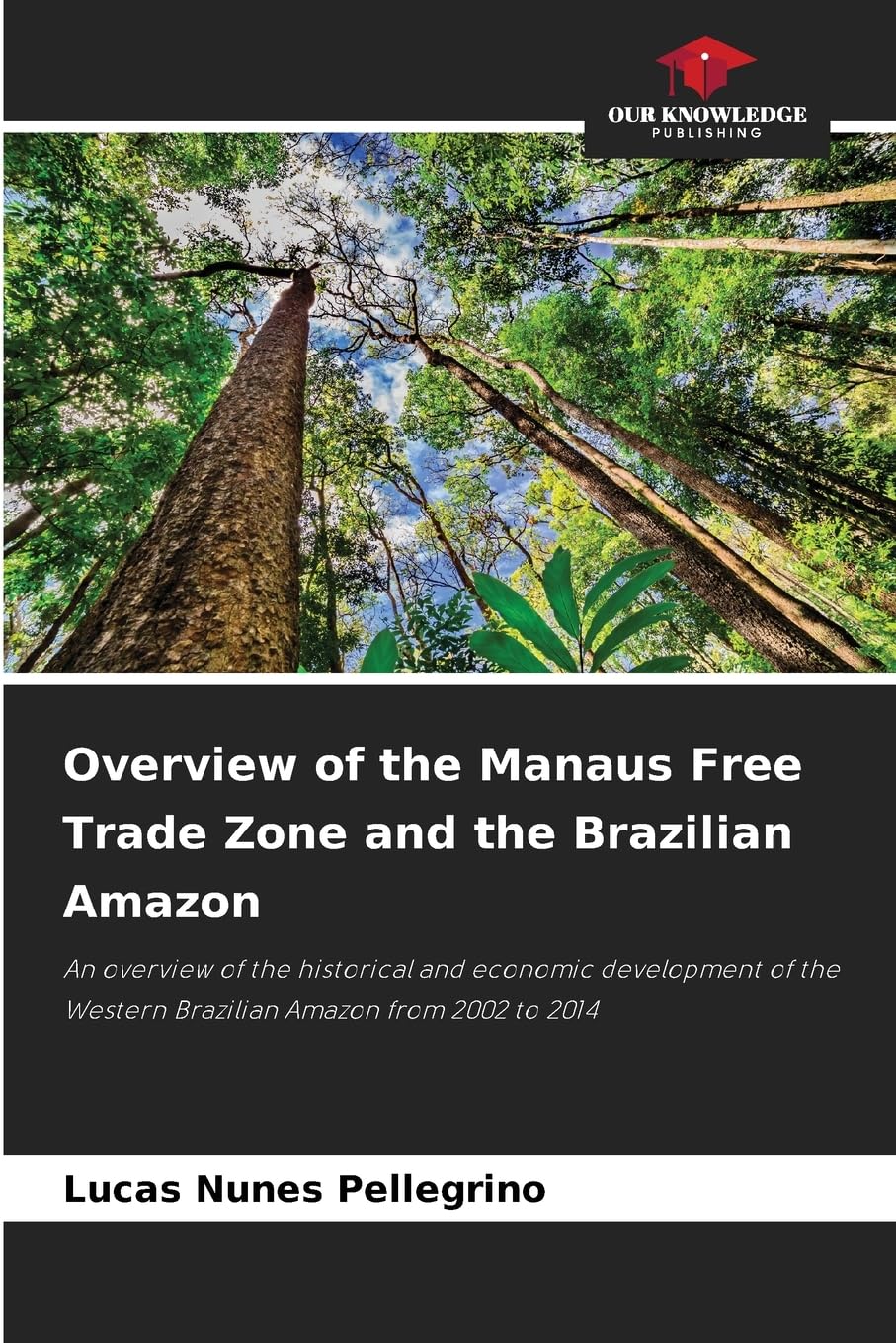 Overview of the Manaus Free Trade Zone and the Brazilian Amazon Law