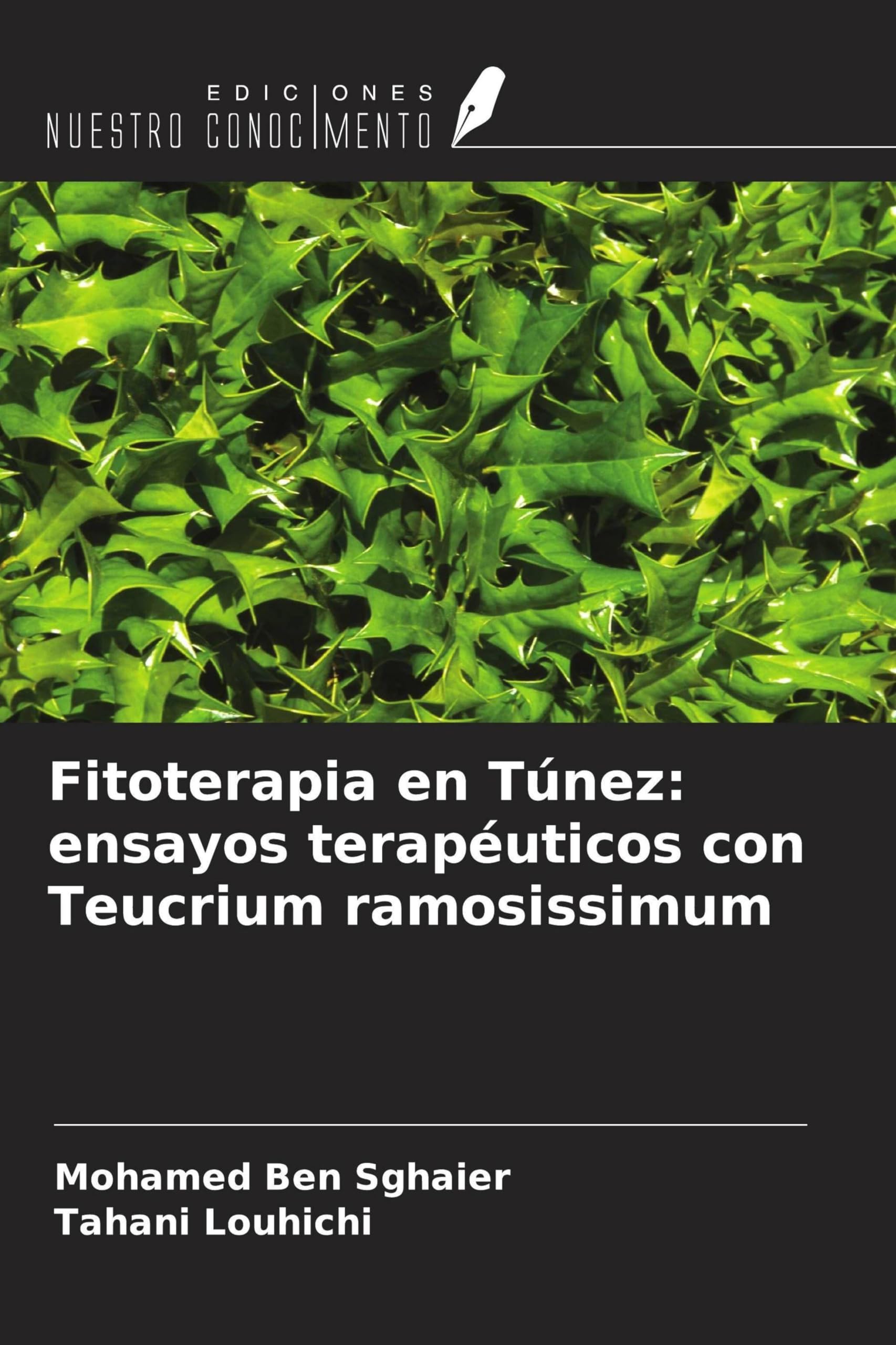 Fitoterapia en Túnez: ensayos terapéuticos con Teucrium ramosissimum Medicine