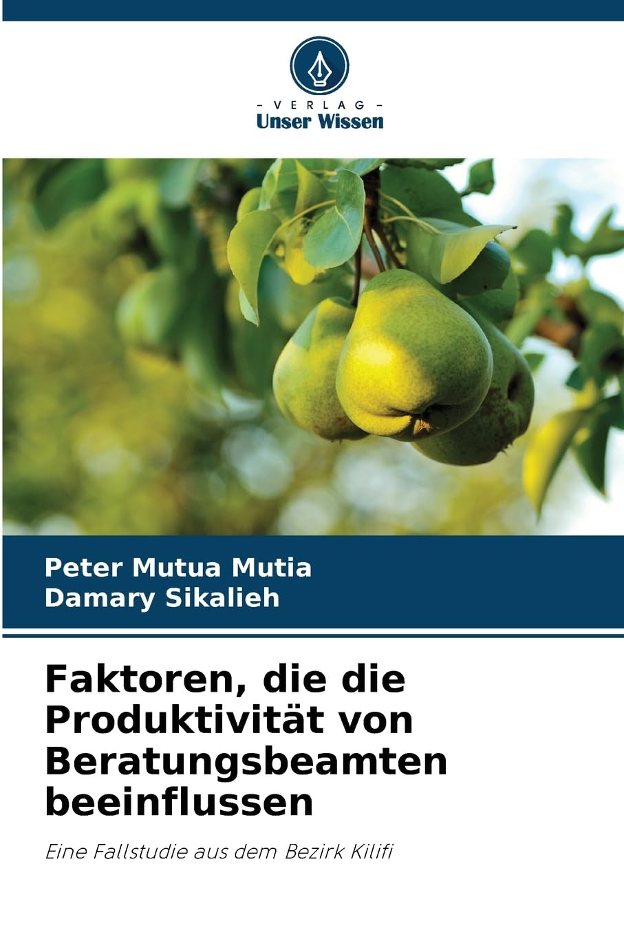 Faktoren, die die Produktivität von Beratungsbeamten beeinflussen Law