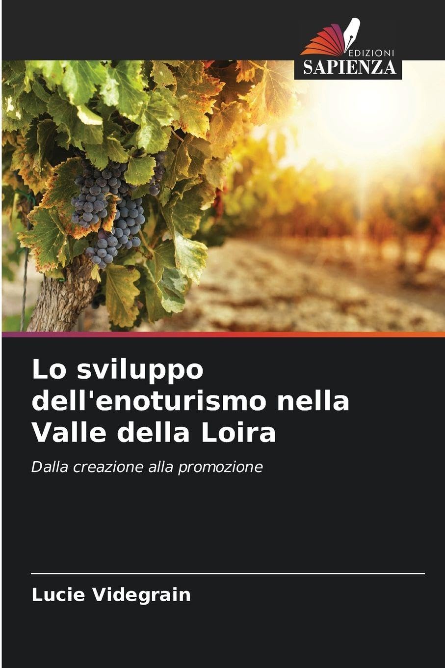 Lo sviluppo dell'enoturismo nella Valle della Loira Business & Technology