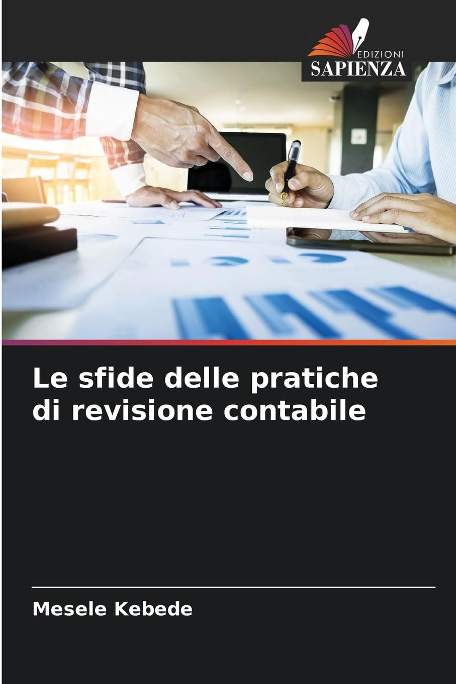 Le sfide delle pratiche di revisione contabile Books