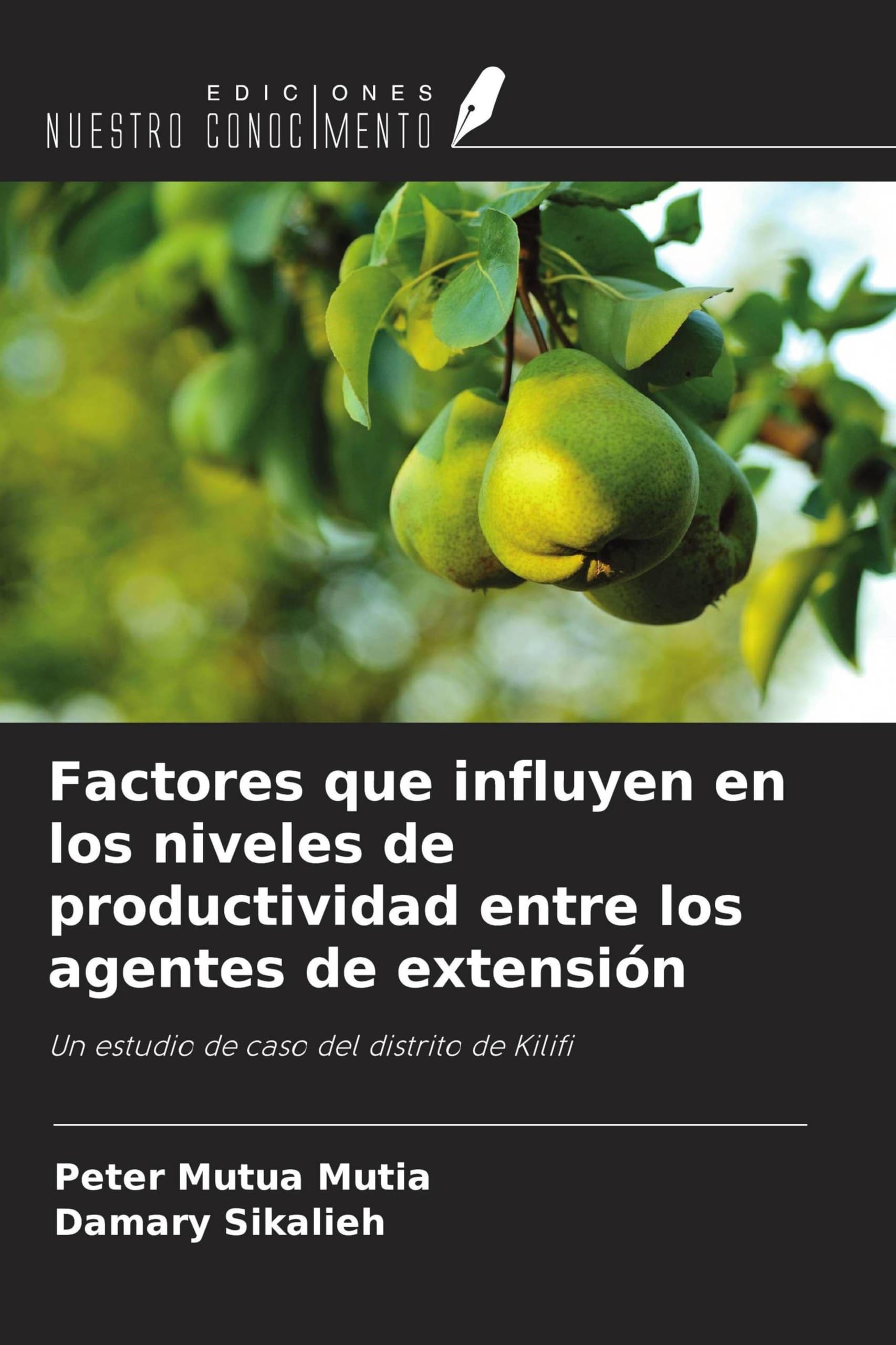 Factores que influyen en los niveles de productividad entre los agentes de extensión Law