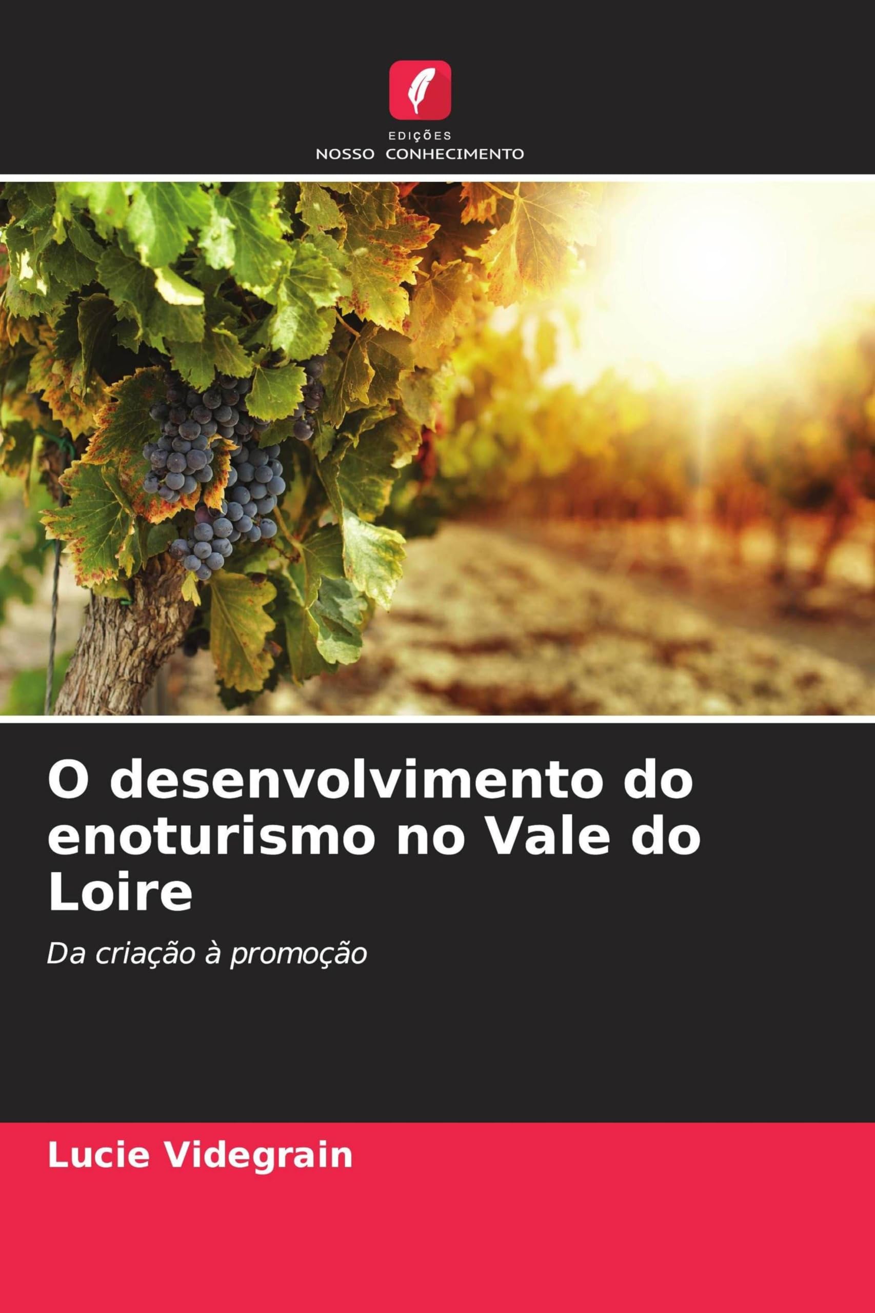 O desenvolvimento do enoturismo no Vale do Loire Business & Technology