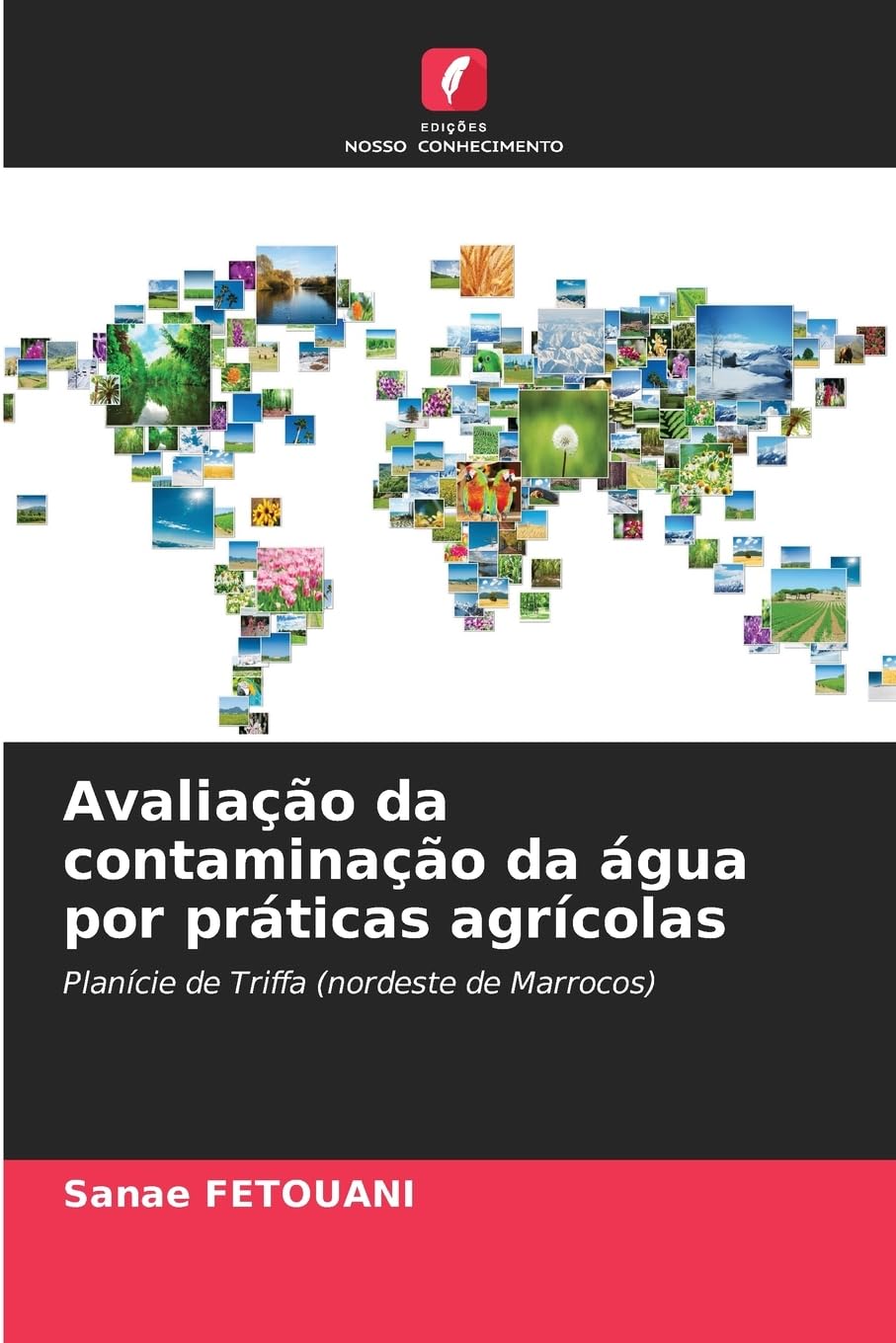 Avaliação da contaminação da água por práticas agrícolas Natural Sciences