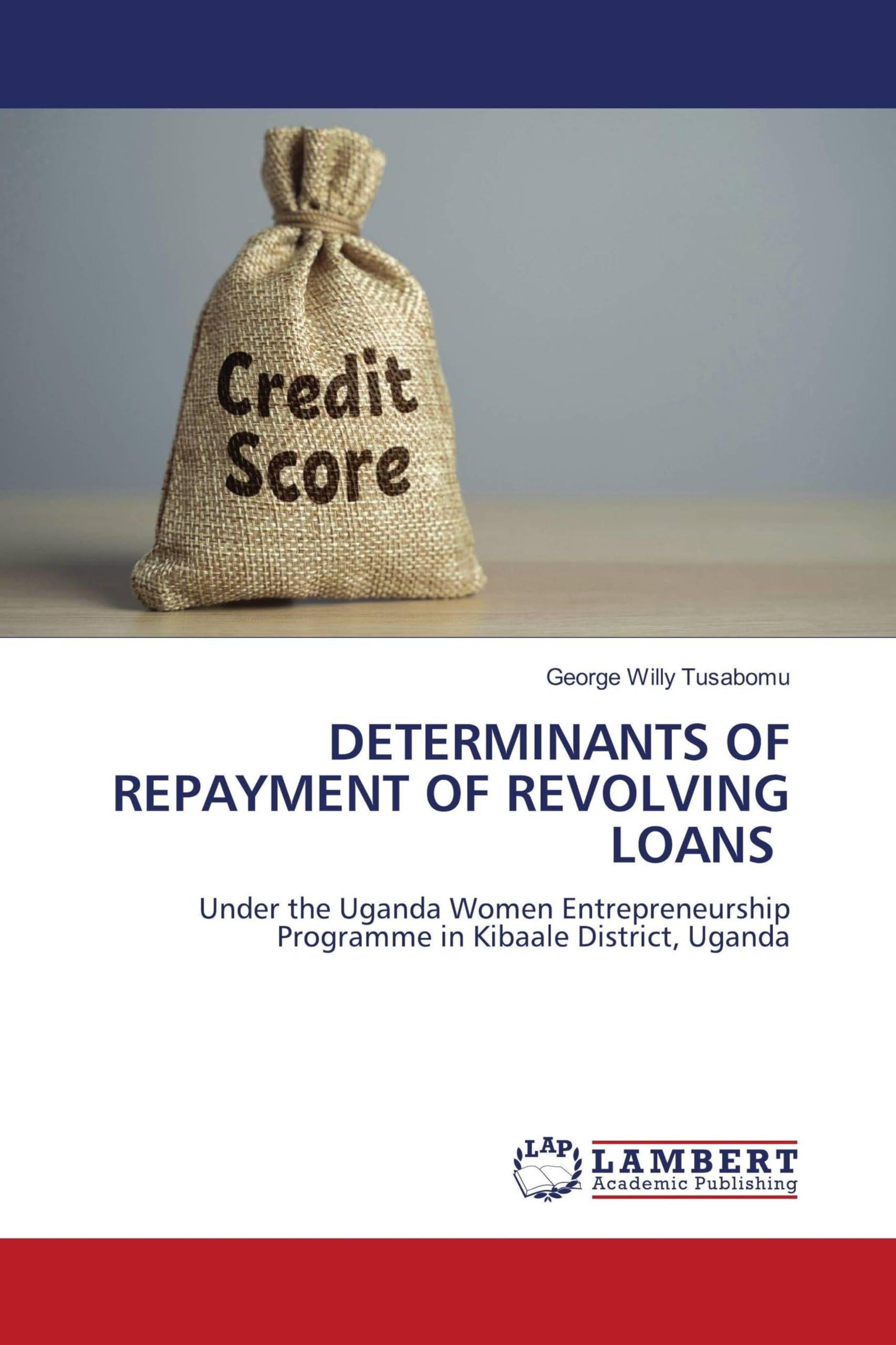 DETERMINANTS OF REPAYMENT OF REVOLVING LOANS Law