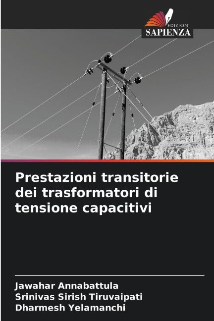 Prestazioni transitorie dei trasformatori di tensione capacitivi Natural Sciences