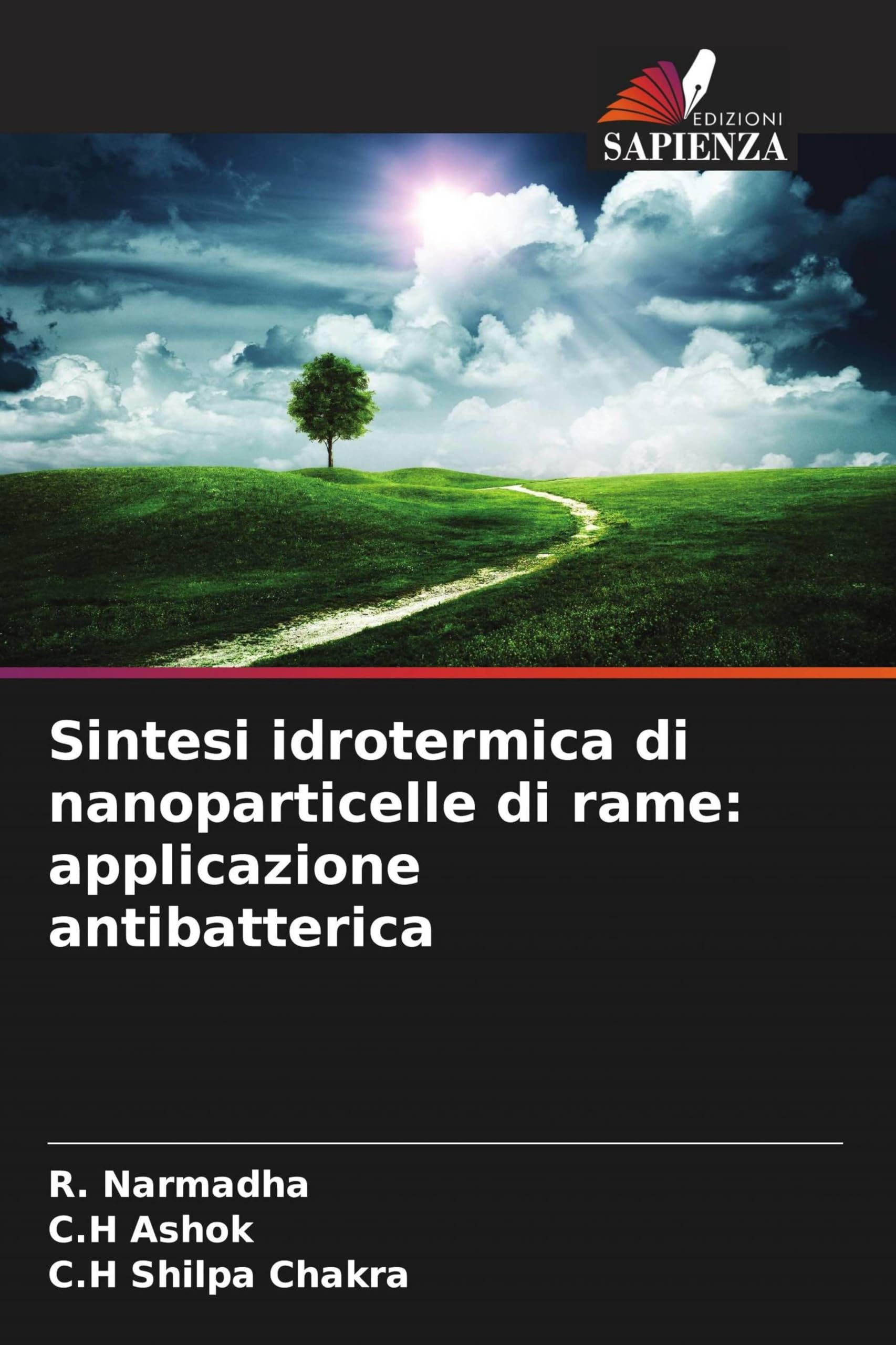 Sintesi idrotermica di nanoparticelle di rame: applicazione antibatterica Medicine
