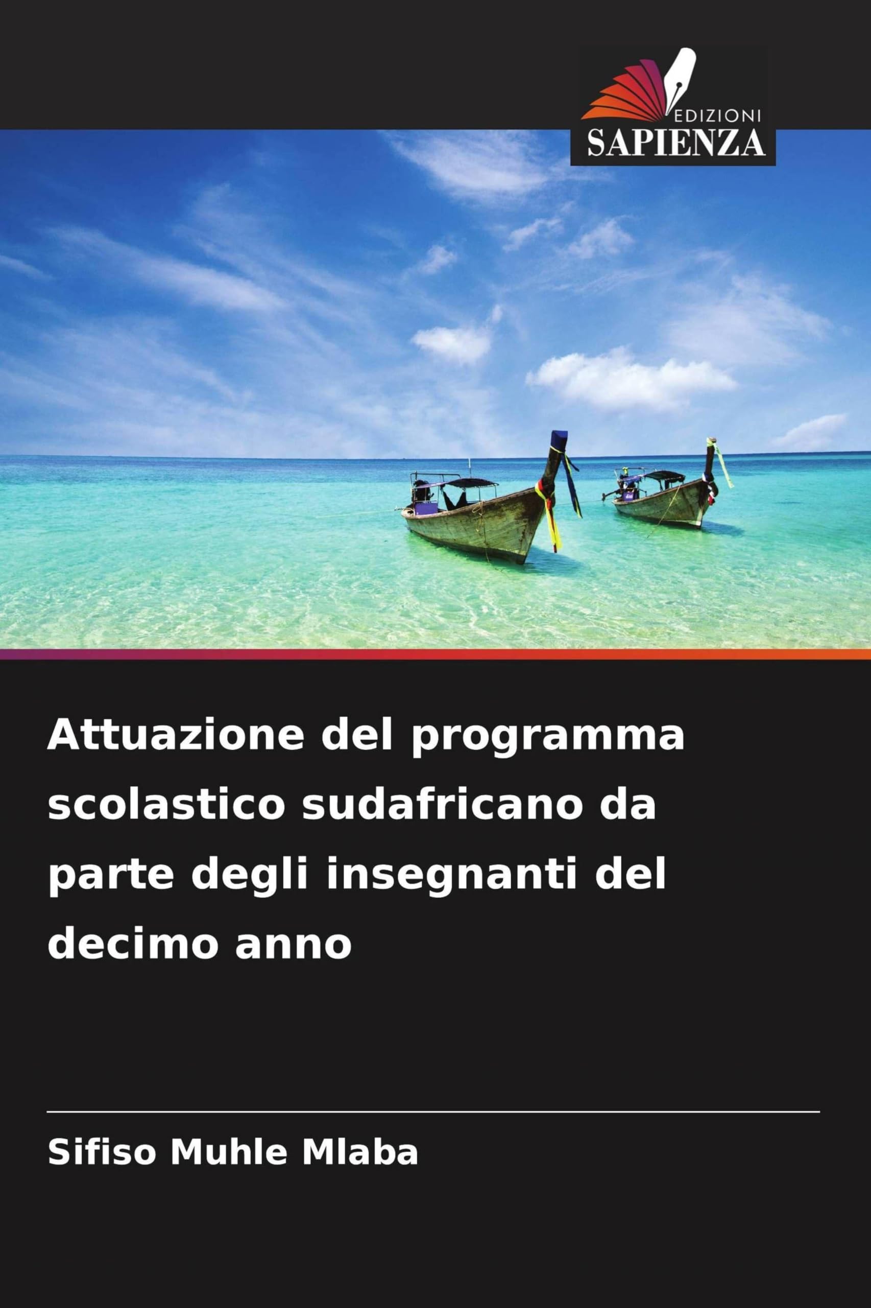 Attuazione del programma scolastico sudafricano da parte degli insegnanti del decimo anno Business, Finance & Career