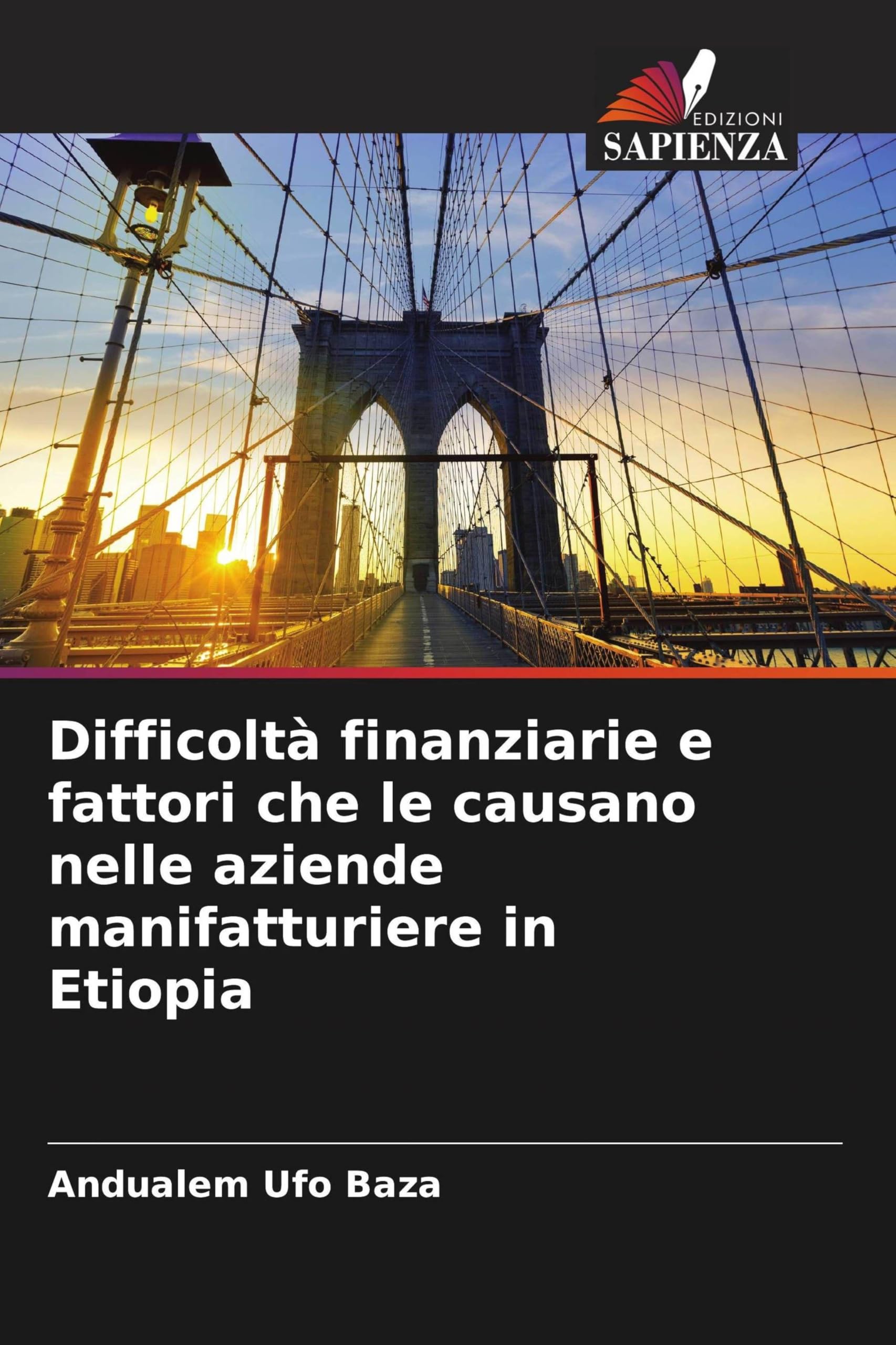 Difficoltà finanziarie e fattori che le causano nelle aziende manifatturiere in Etiopia Business, Finance & Career