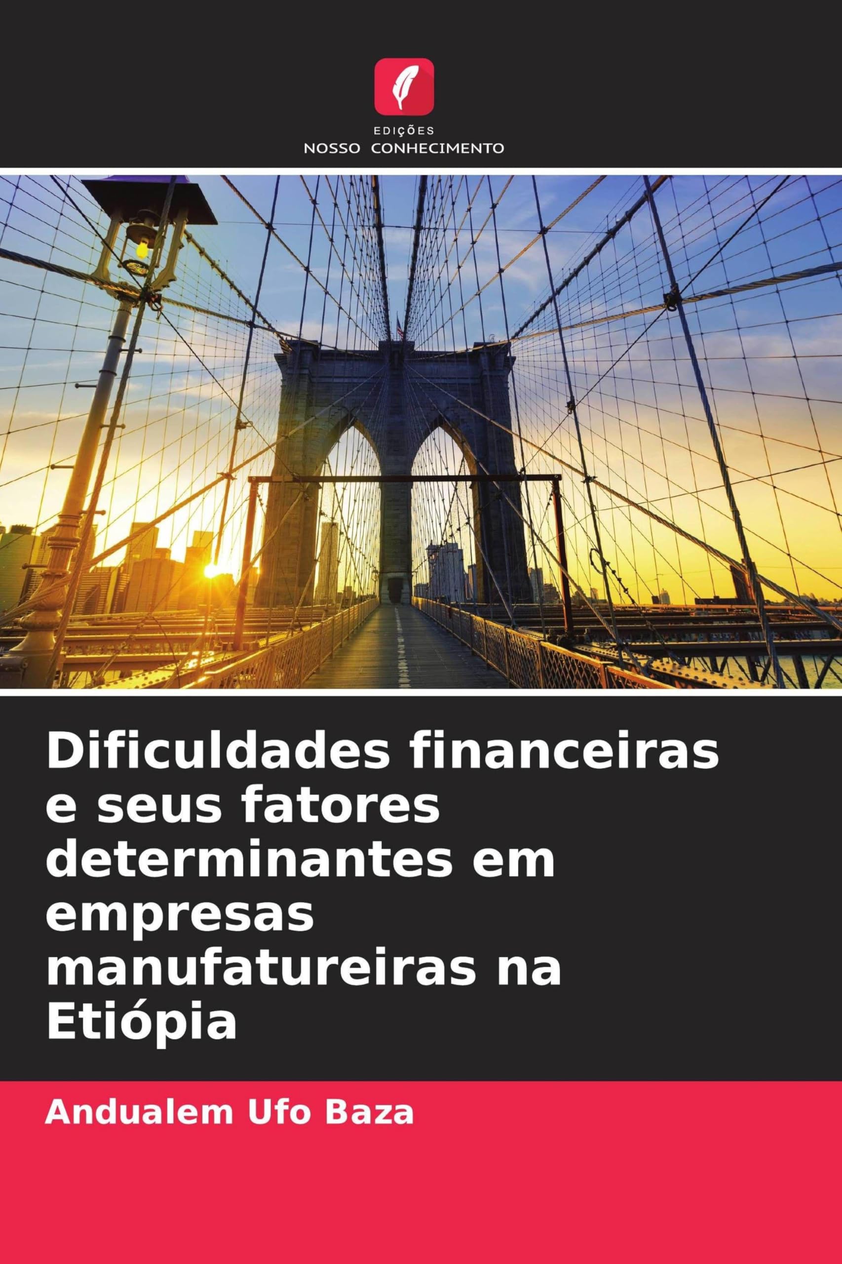Dificuldades financeiras e seus fatores determinantes em empresas manufatureiras na Etiópia Business, Finance & Career