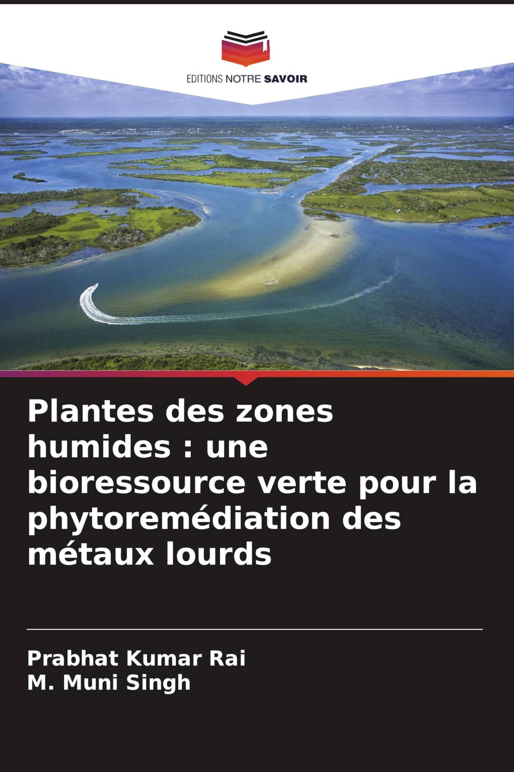 Plantes des zones humides : une bioressource verte pour la phytoremédiation des métaux lourds Books