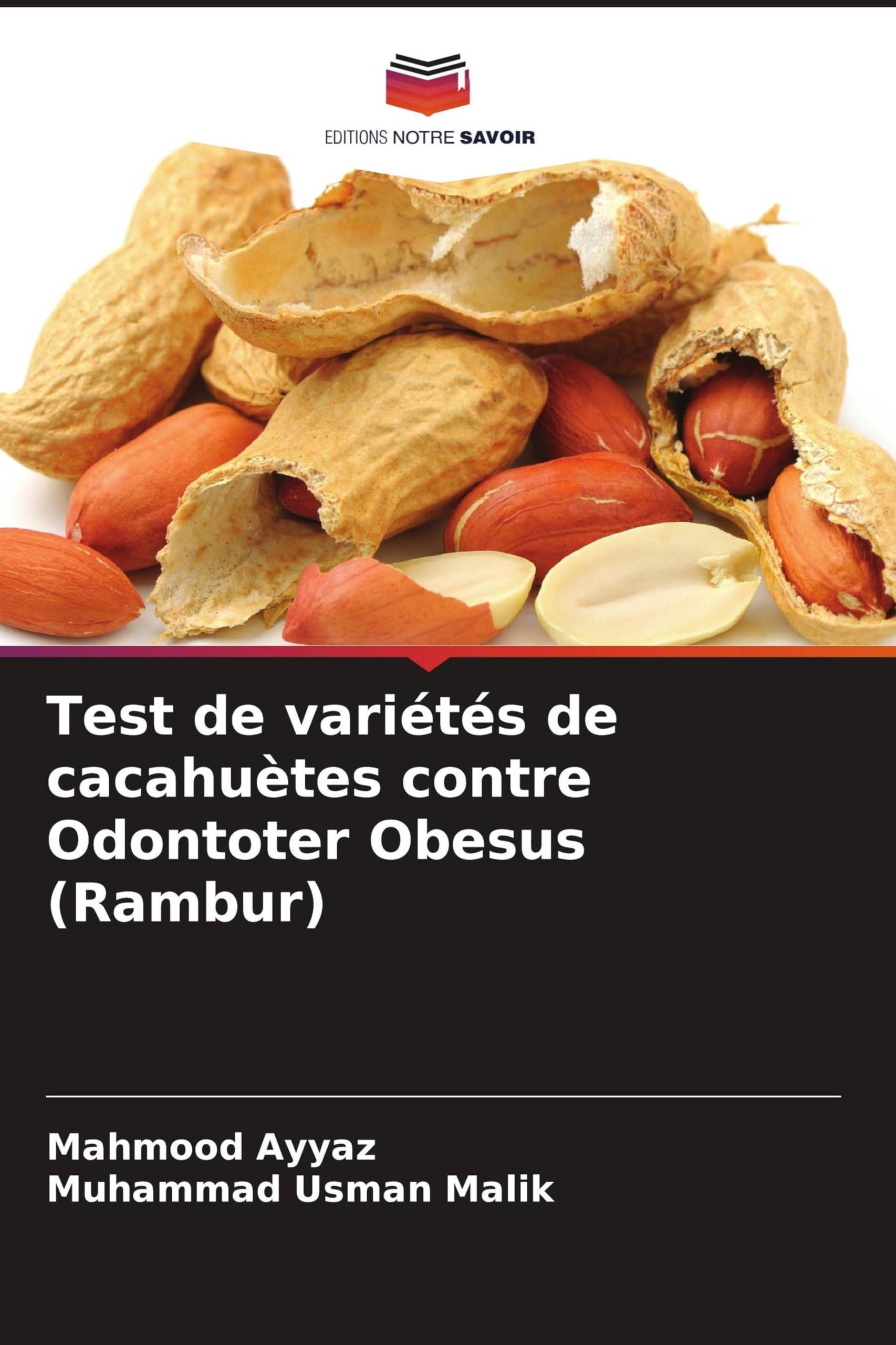 Test de variétés de cacahuètes contre Odontoter Obesus (Rambur) Natural Sciences