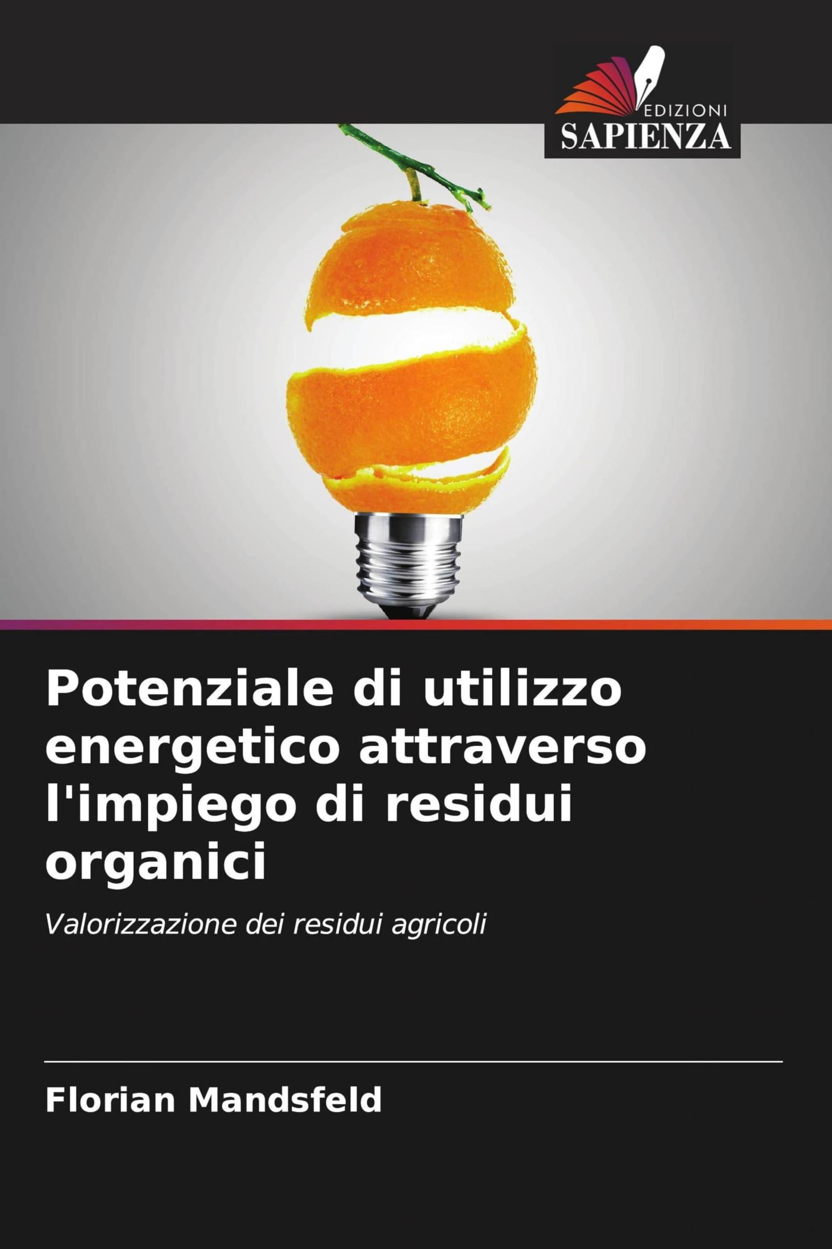 Potenziale di utilizzo energetico attraverso l'impiego di residui organici Business & Technology
