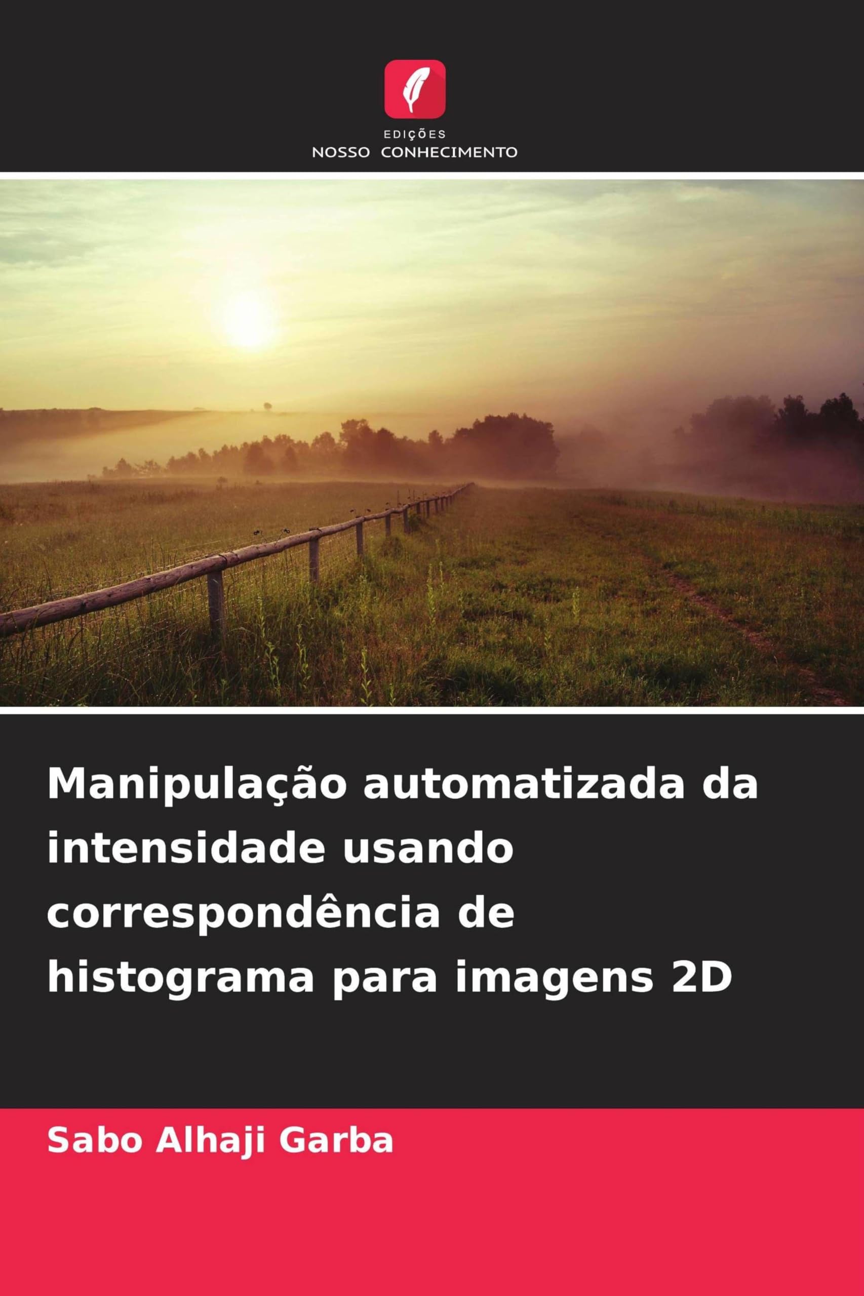 Manipulação automatizada da intensidade usando correspondência de histograma para imagens 2D Mathematics