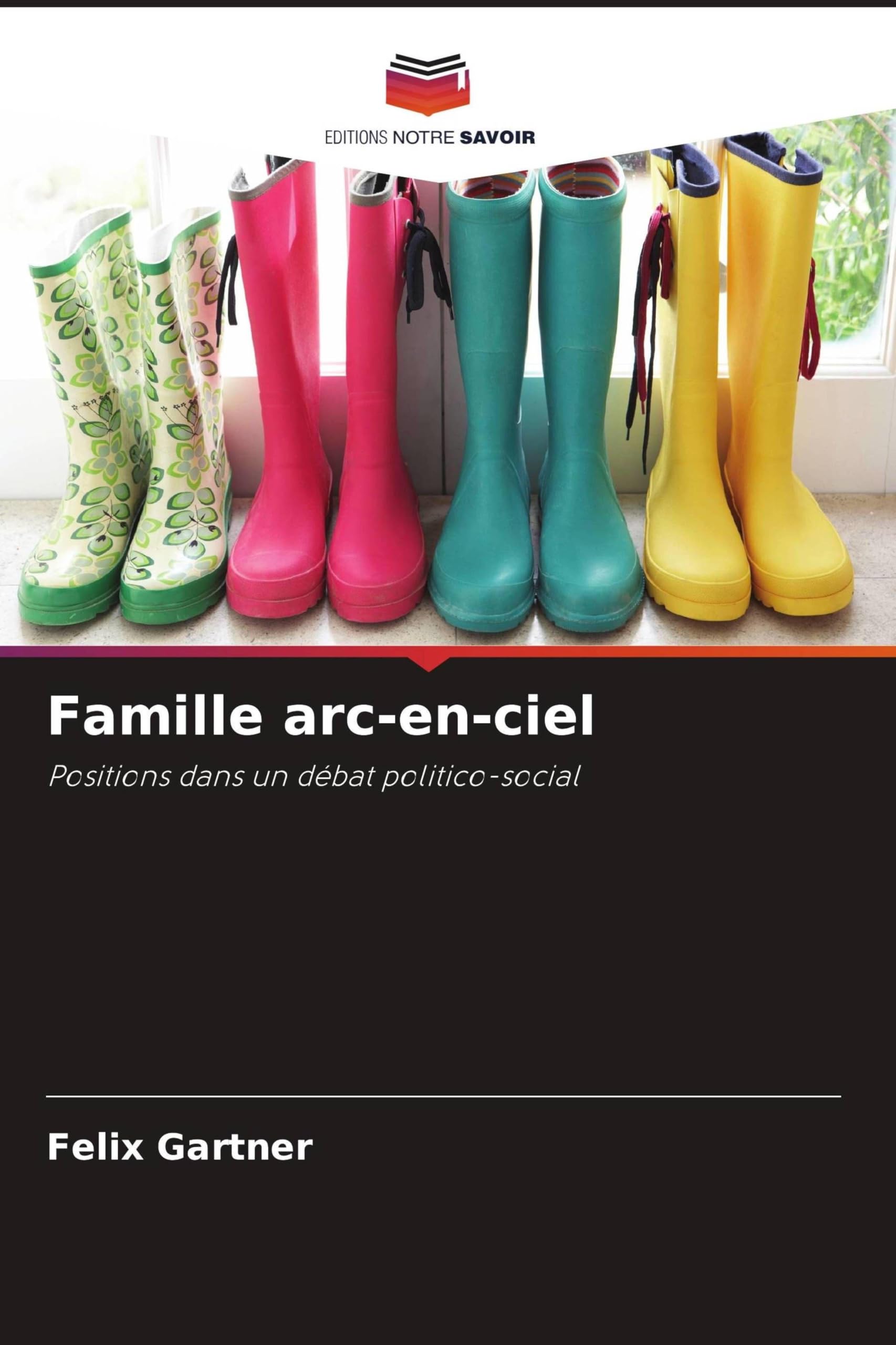 Famille arc-en-ciel: Positions dans un débat politico-social Books
