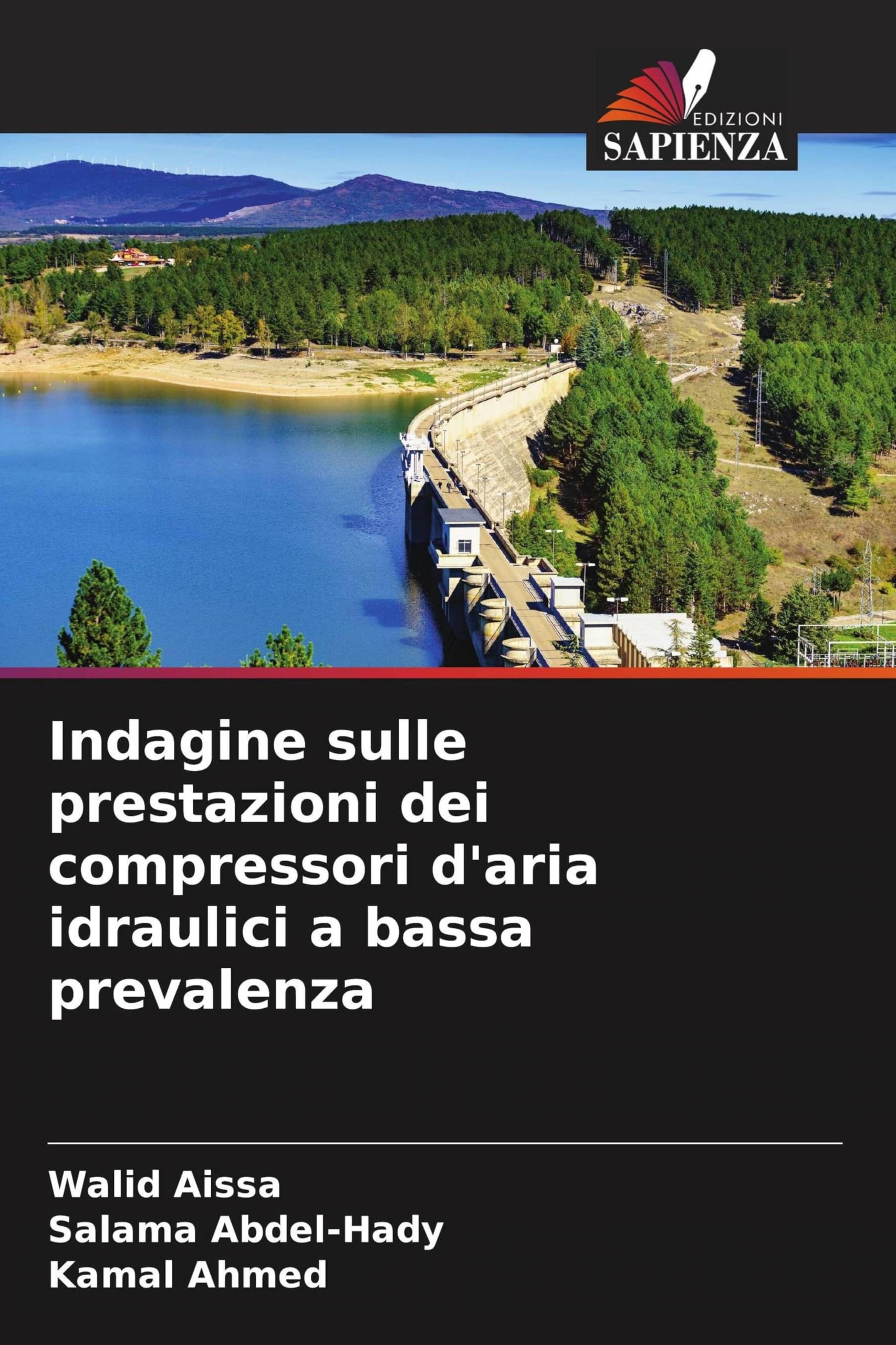 Indagine sulle prestazioni dei compressori d'aria idraulici a bassa prevalenza Business & Technology