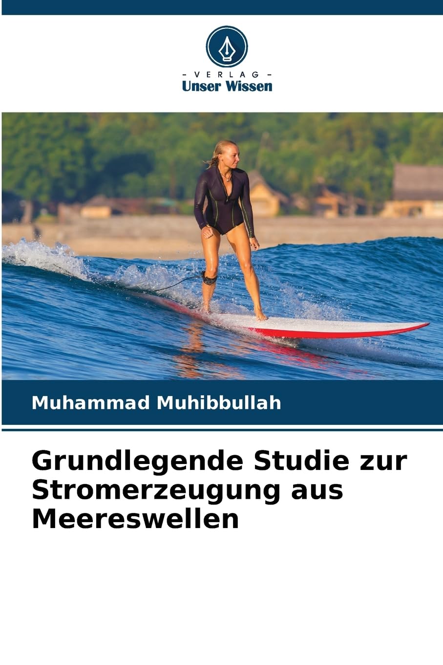 Grundlegende Studie zur Stromerzeugung aus Meereswellen Business & Technology