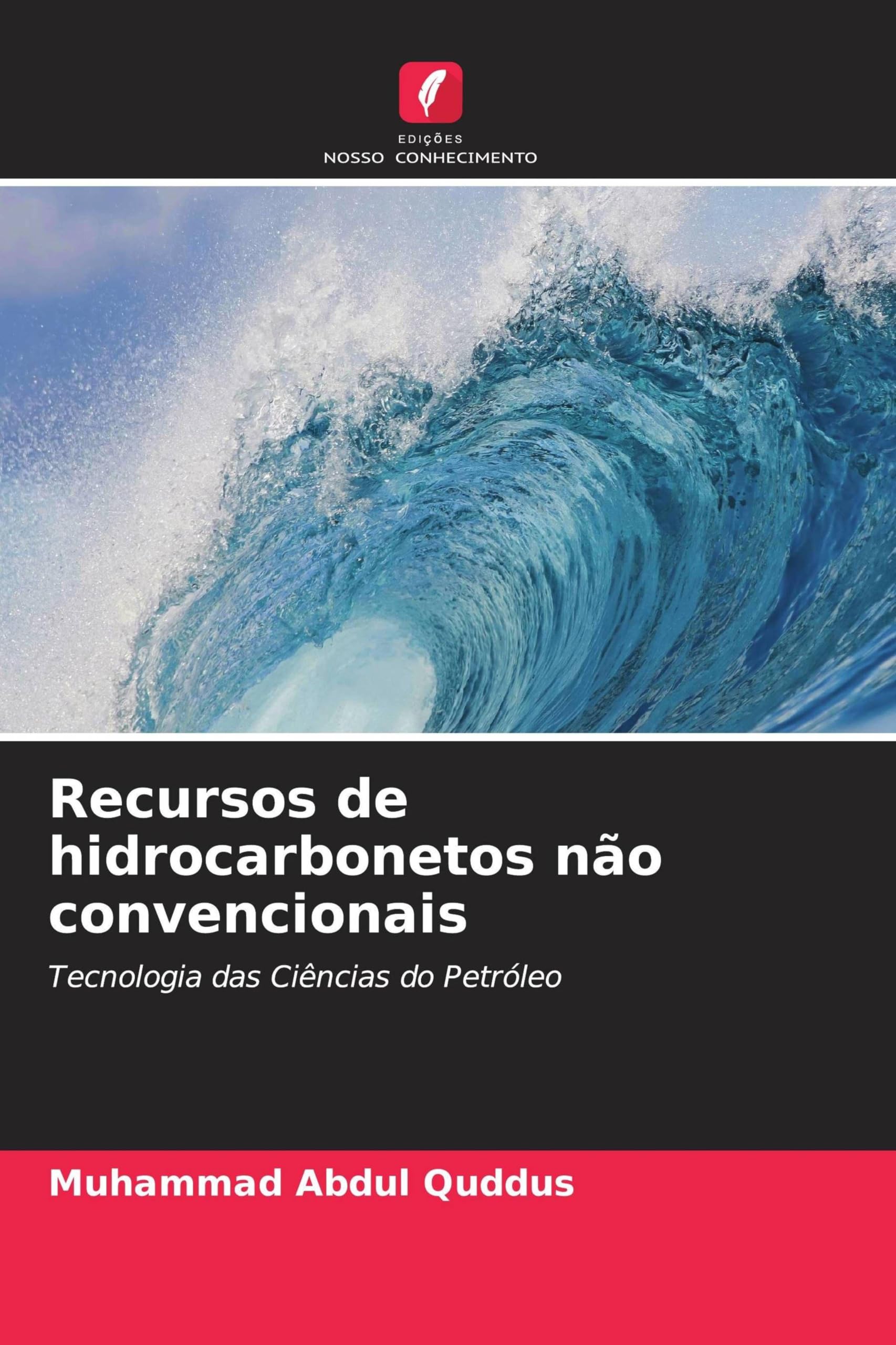 Recursos de hidrocarbonetos não convencionais Books