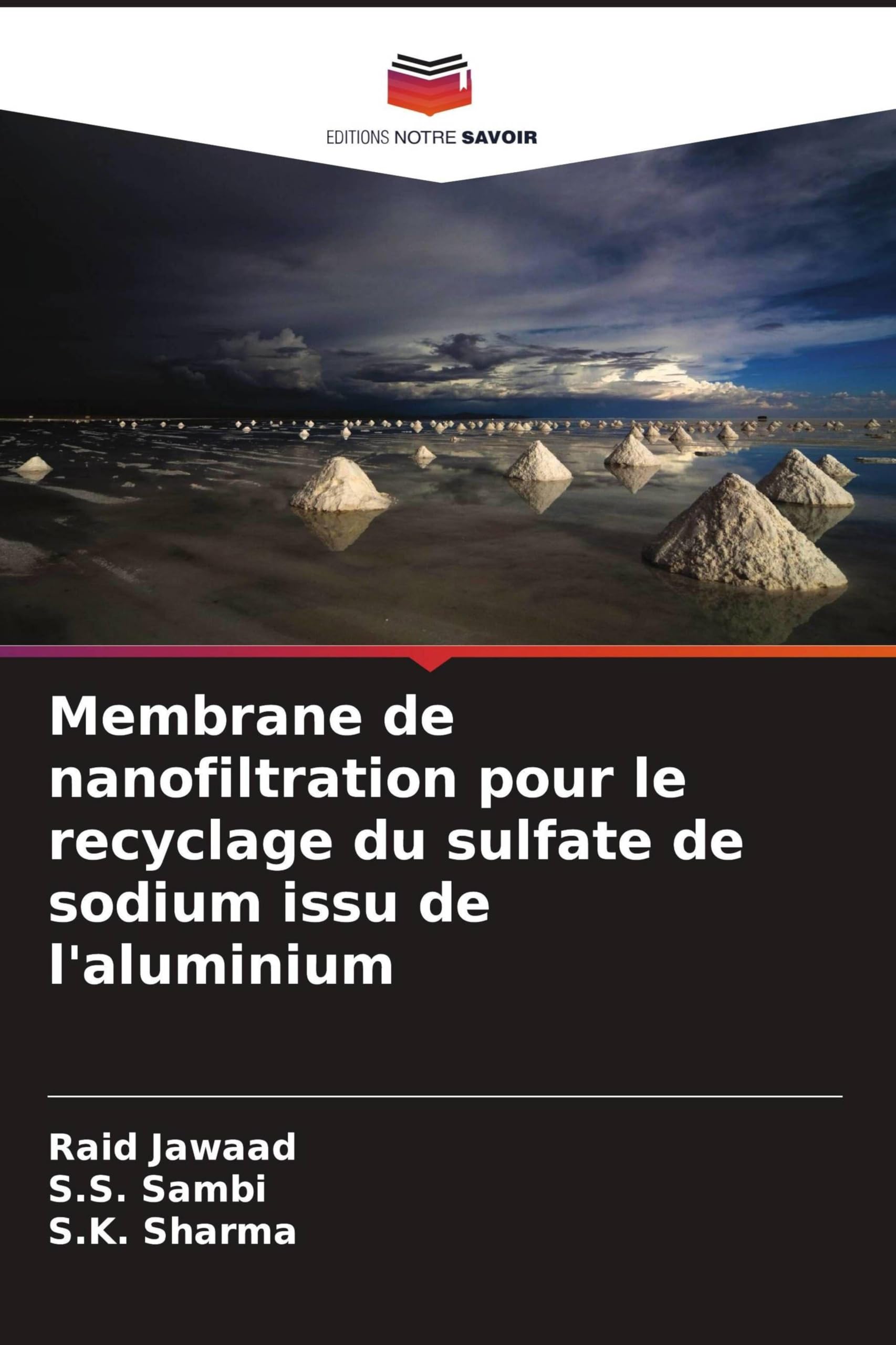 Membrane de nanofiltration pour le recyclage du sulfate de sodium issu de l'aluminium Books