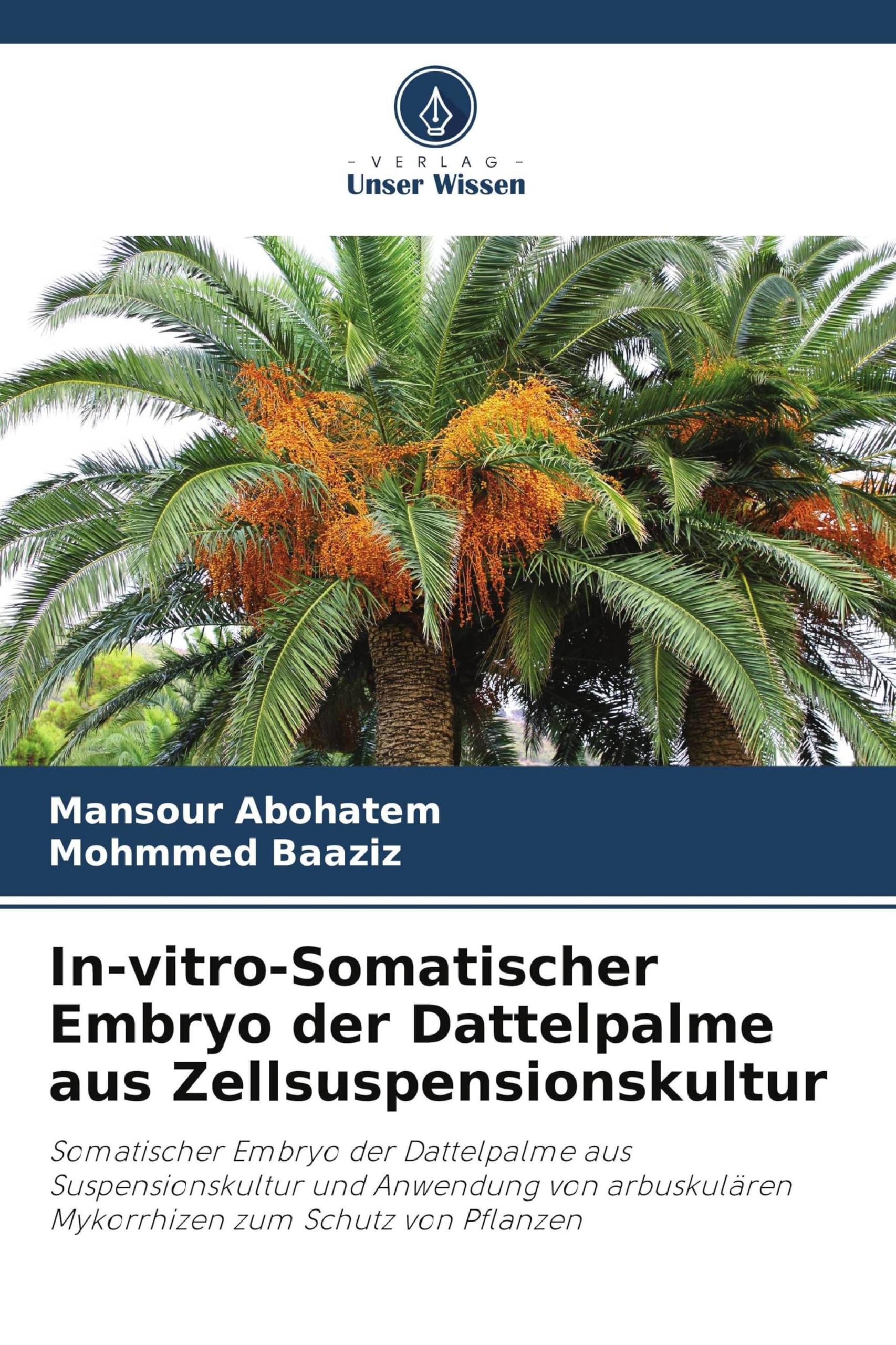 In-vitro-Somatischer Embryo der Dattelpalme aus Zellsuspensionskultur Natural Sciences