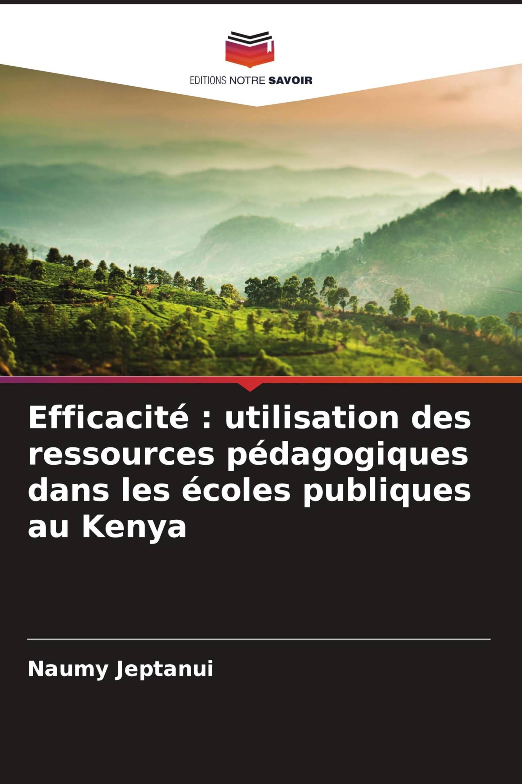 Efficacité : utilisation des ressources pédagogiques dans les écoles publiques au Kenya Books