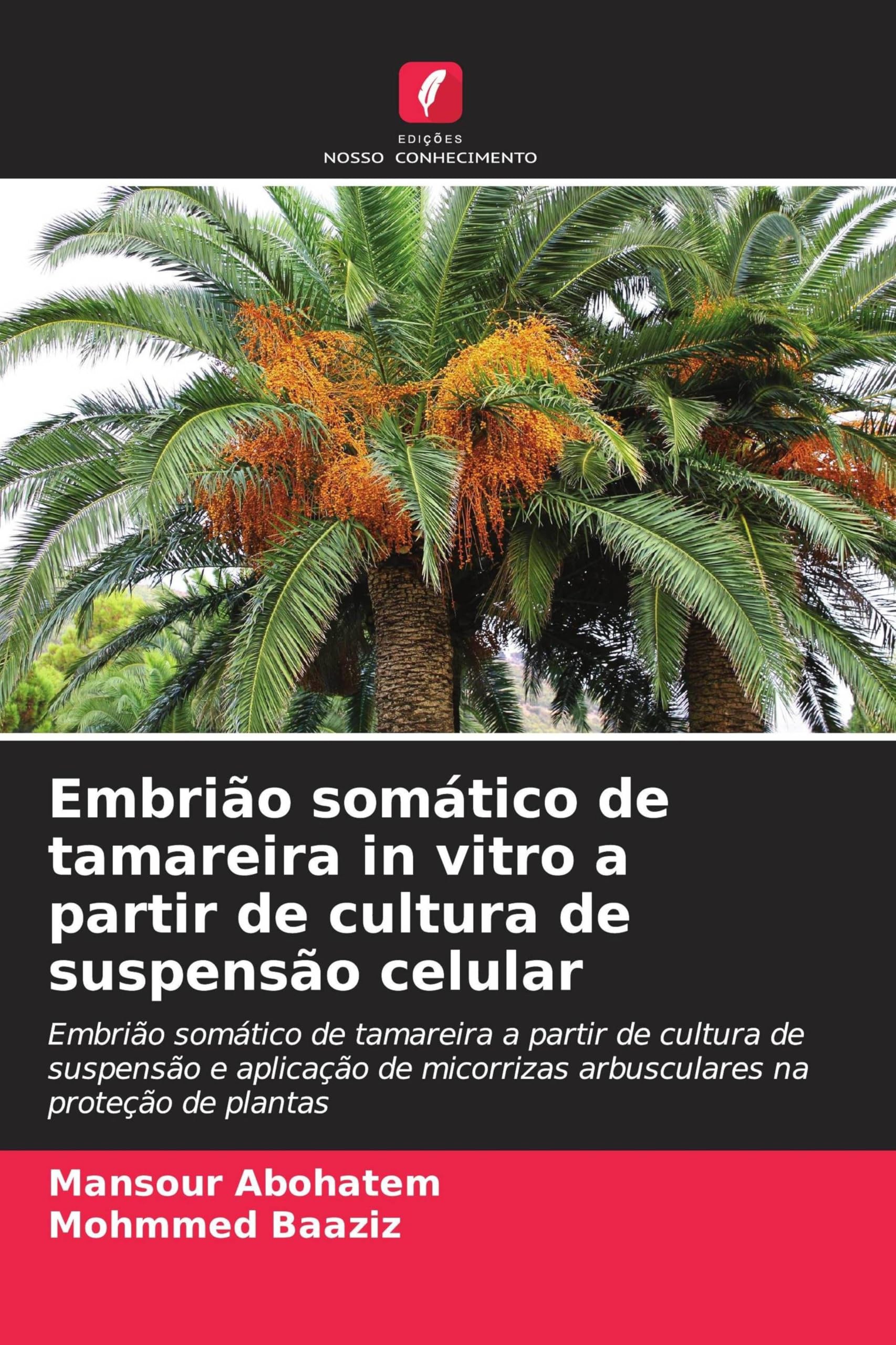 Embrião somático de tamareira in vitro a partir de cultura de suspensão celular Natural Sciences