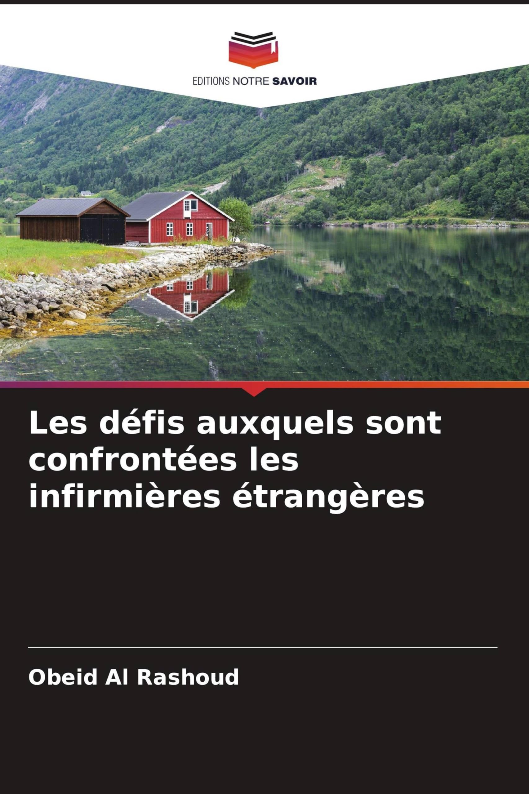 Les défis auxquels sont confrontées les infirmières étrangères: DE Books