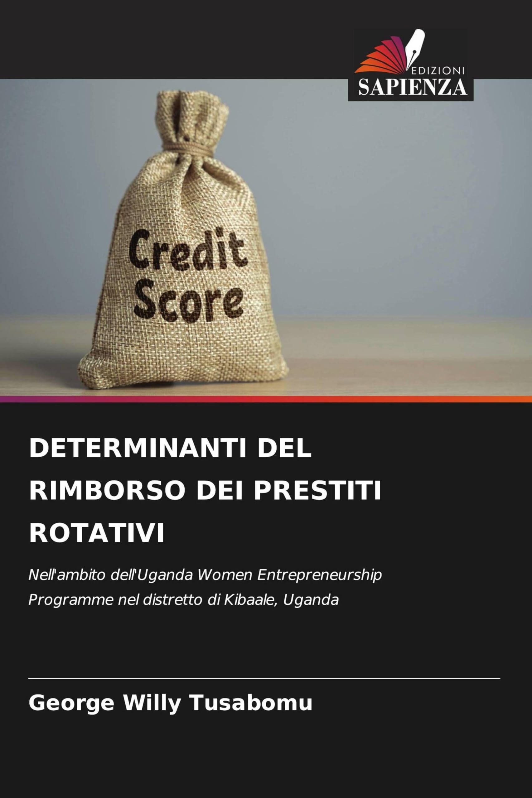 DETERMINANTI DEL RIMBORSO DEI PRESTITI ROTATIVI Books