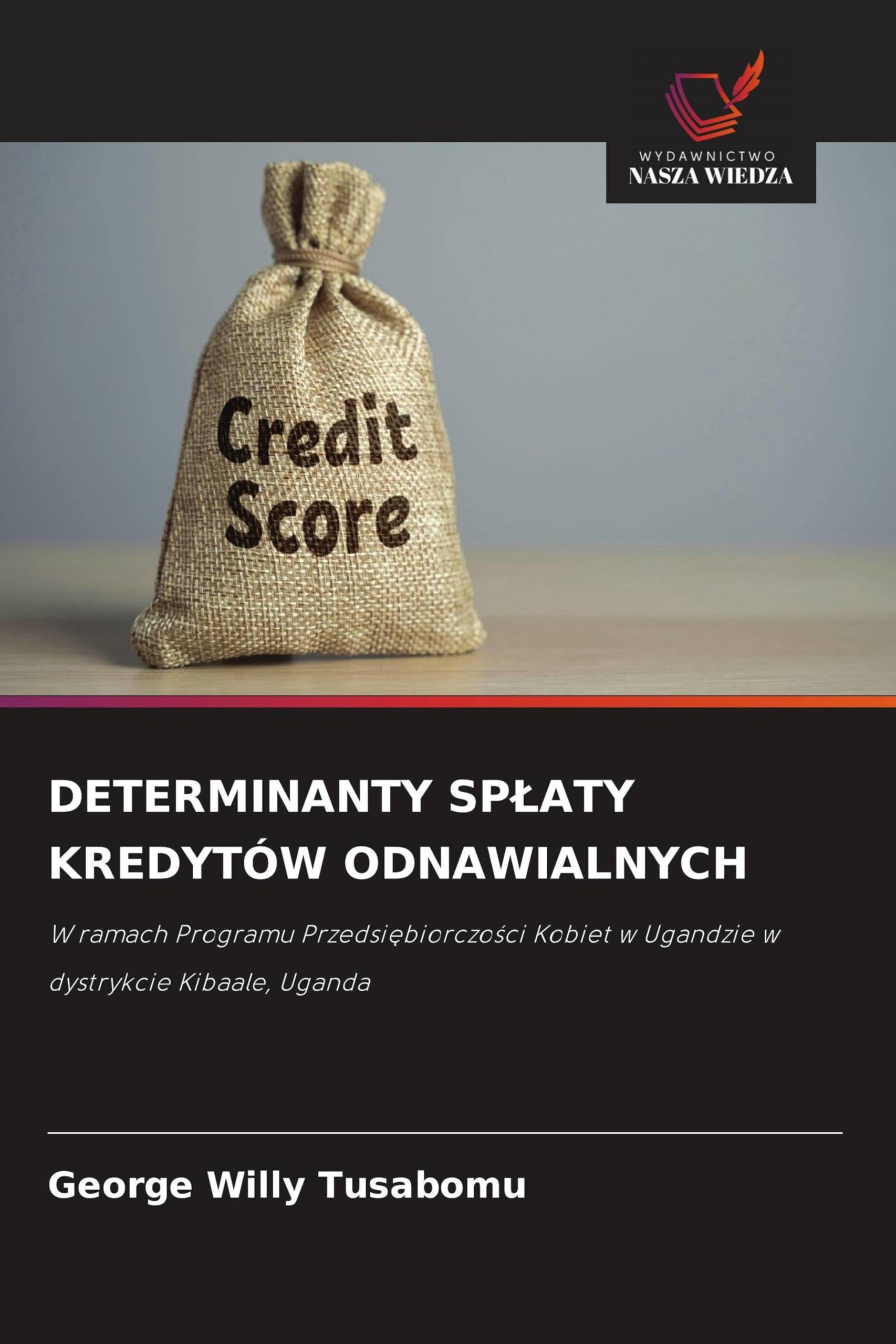 DETERMINANTY SP¿ATY KREDYTÓW ODNAWIALNYCH Books