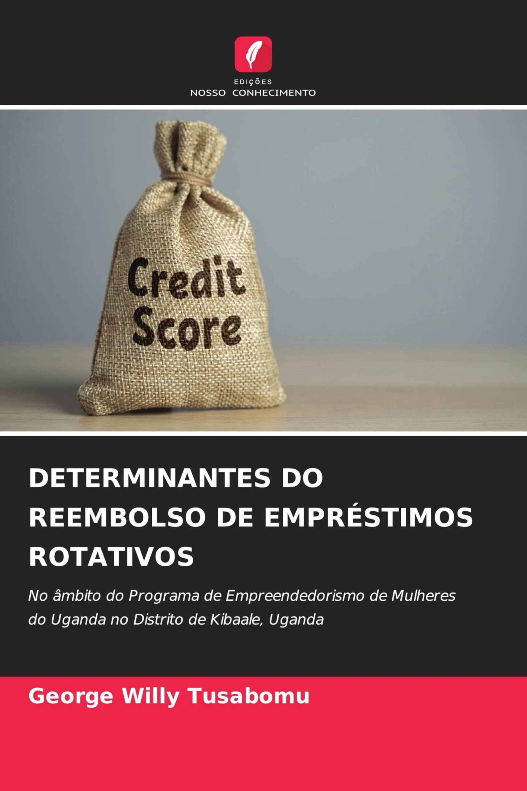 DETERMINANTES DO REEMBOLSO DE EMPRÉSTIMOS ROTATIVOS Books