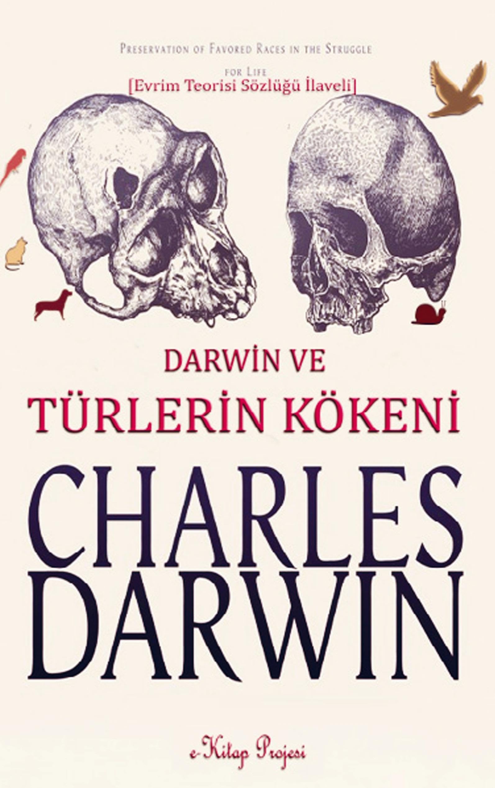 Türlerin Kökeni: Natural Sciences