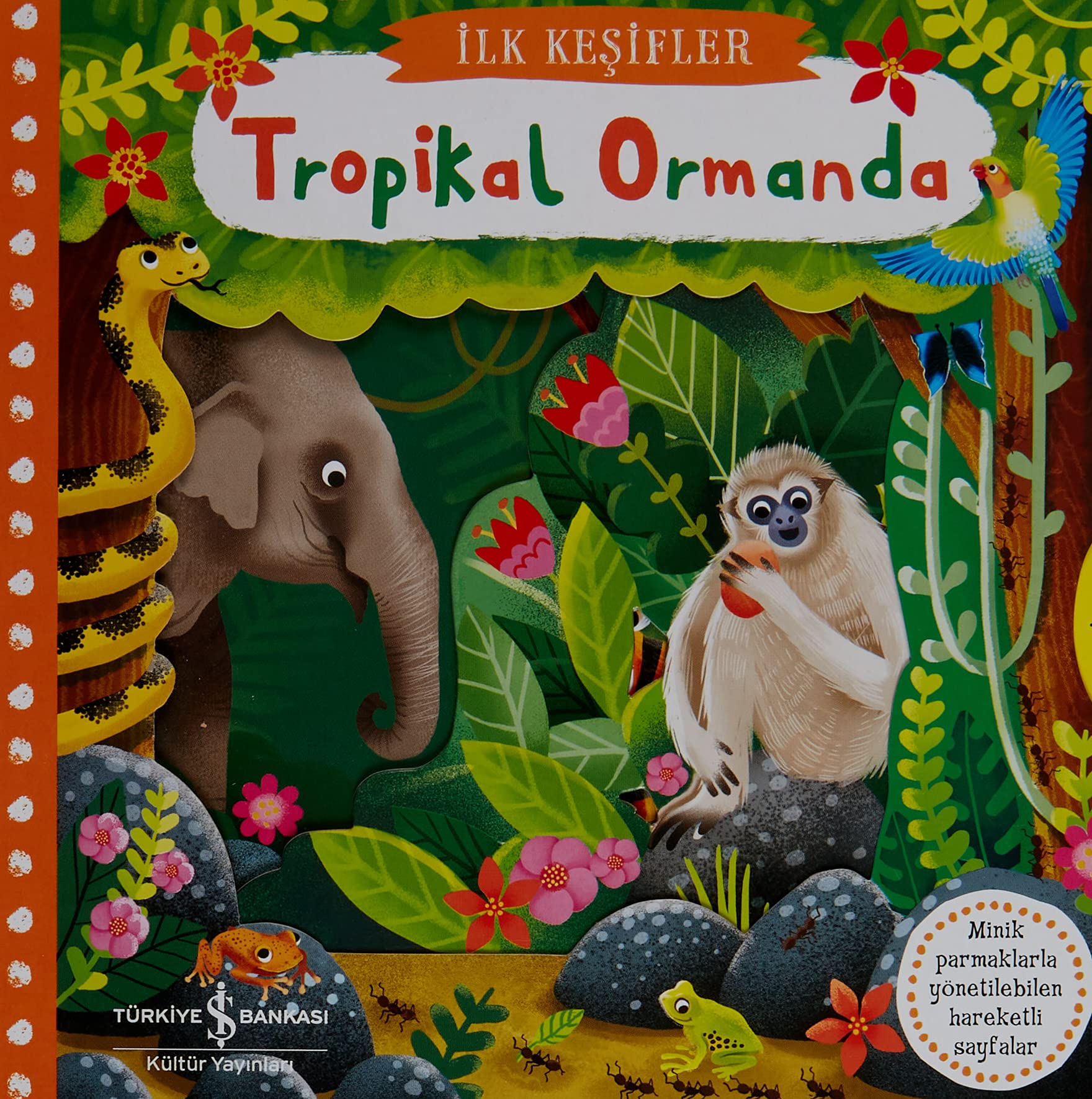 İlk Keşifler - Tropikal Ormanda (Ciltli) Fairy Tales & Legends