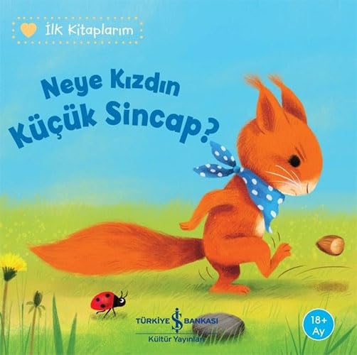 Neye Kızdın Küçük Sincap? / İlk Kitaplarım book