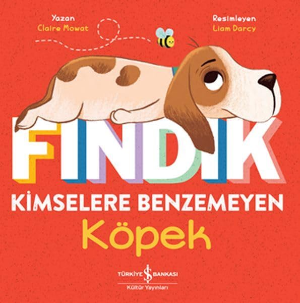 Fındık Kimselere Benzemeyen Köpek Fairy Tales & Legends