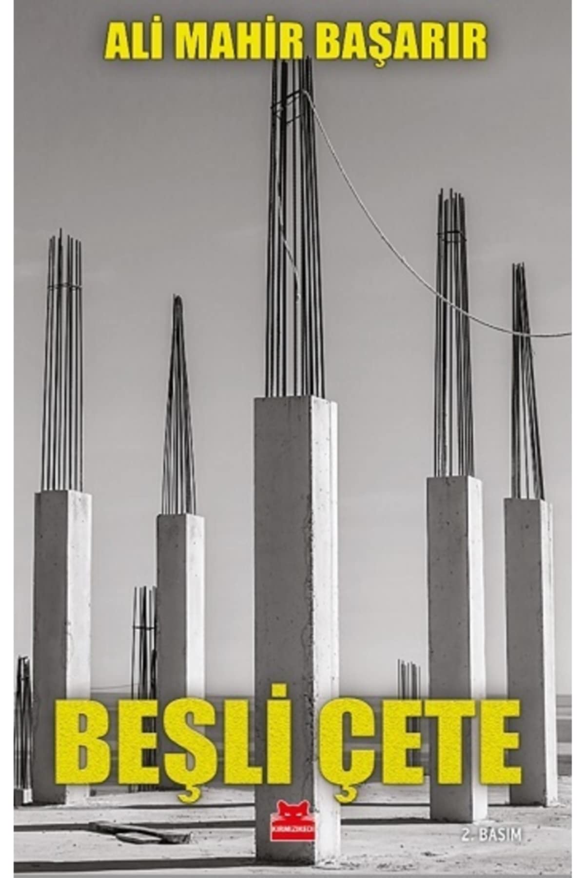 Besli Cete Politics & History books