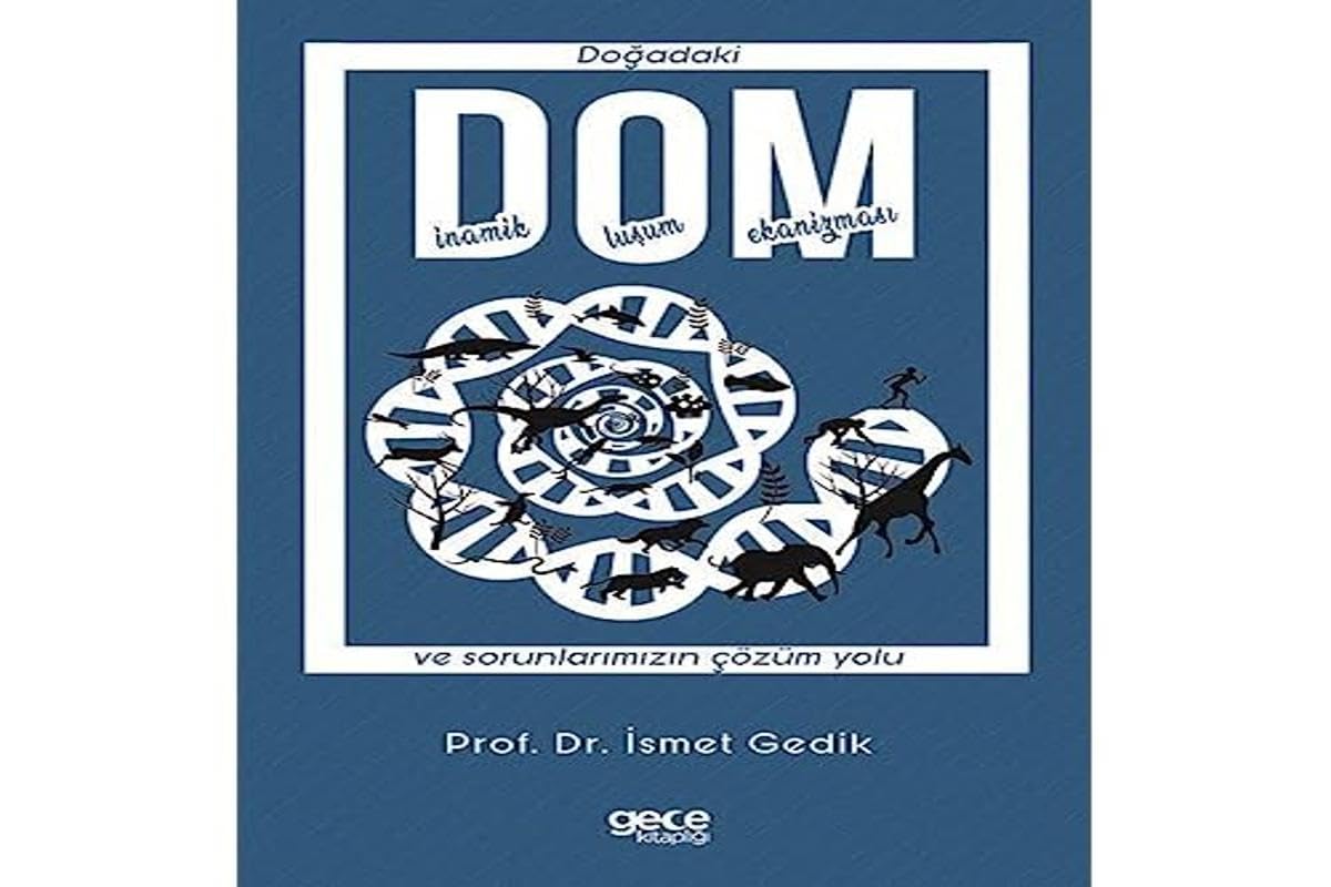 DOM - Dogadaki Dinamik Olusum Mekanizmasi ve sorunlarimizin cözüm yolu. Business & Technology