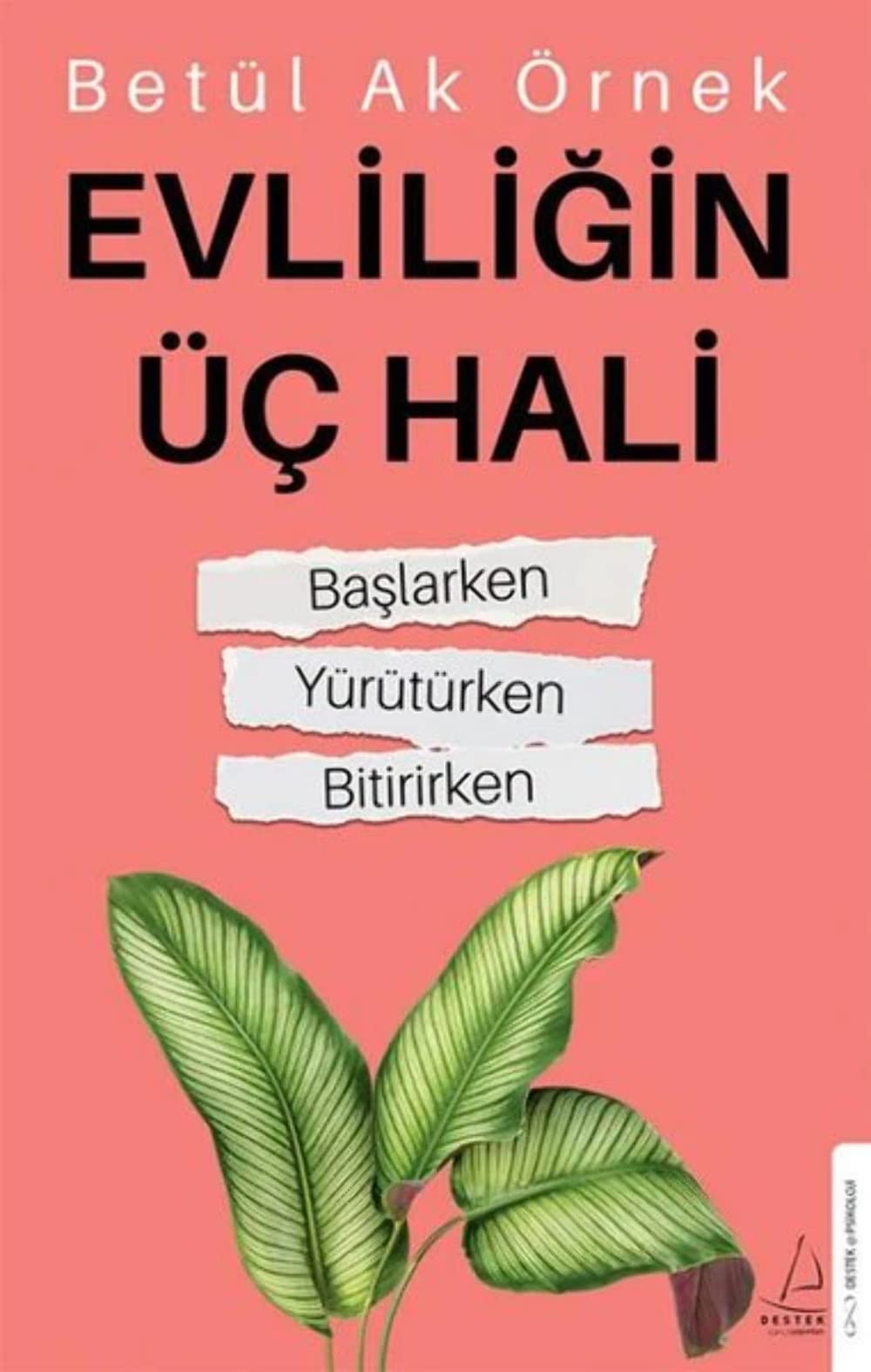 Evliligin Üc Hali book