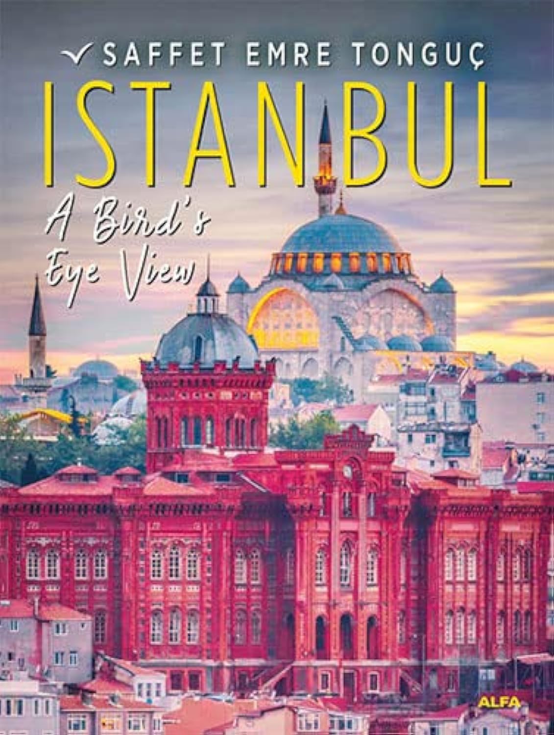 Istanbul A Bird’s Eye View (Hardcover) book
