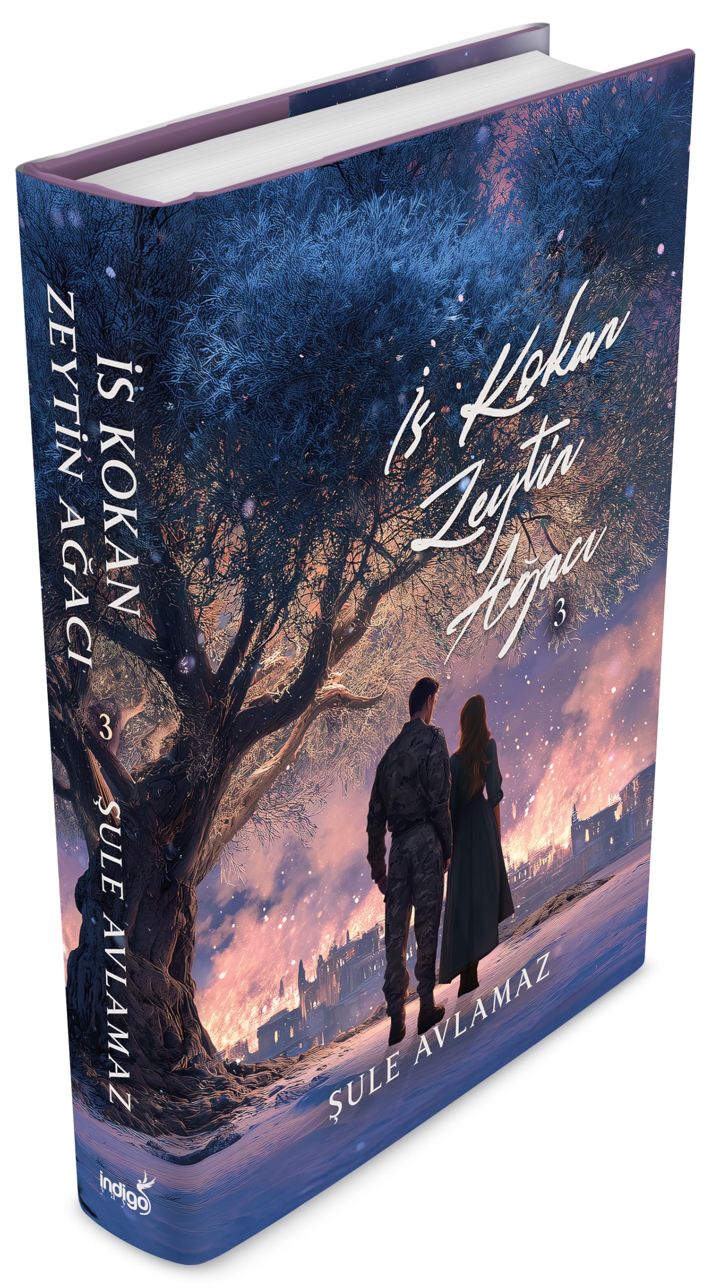 Is Kokan Zeytin Agaci 3 Ciltli Books