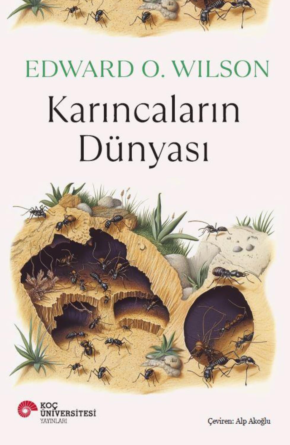 Karıncaların Dünyası Business & Technology