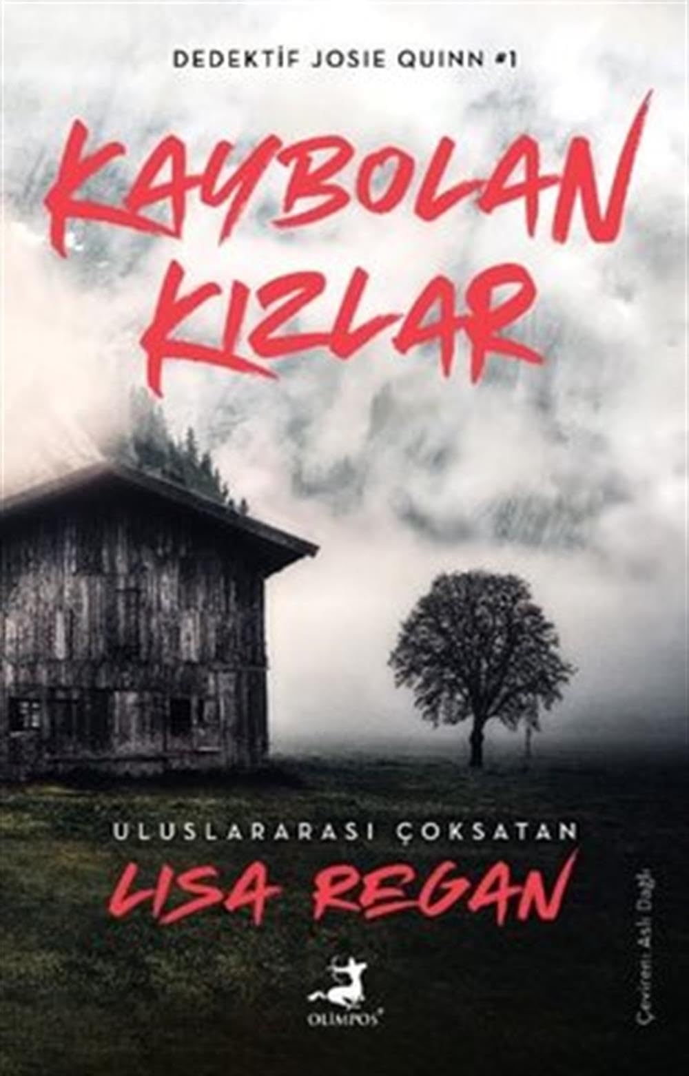 Kaybolan Kızlar: Dedektif Joise Quinn 1 Contemporary literature