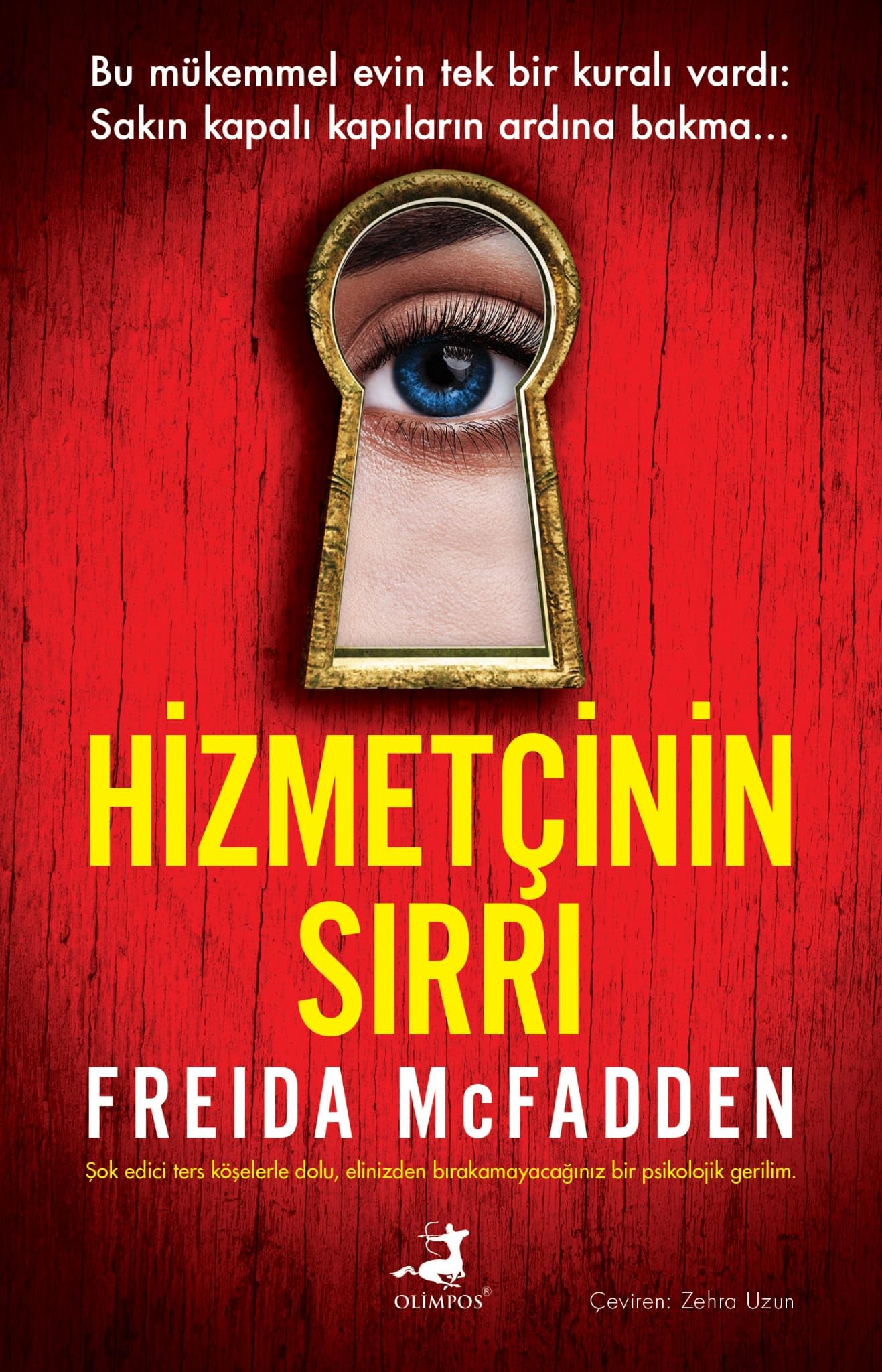 Hizmetcinin Sirri Historical Fiction