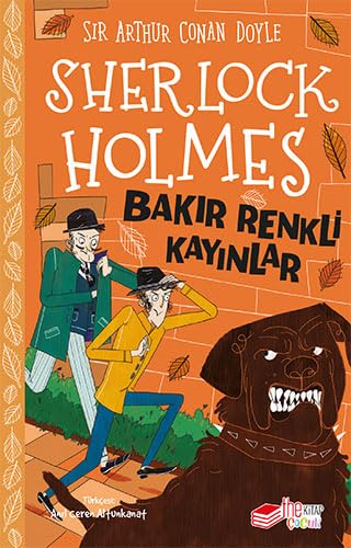 Sherlock Holmes - Bakir Renkli Kayinlar book